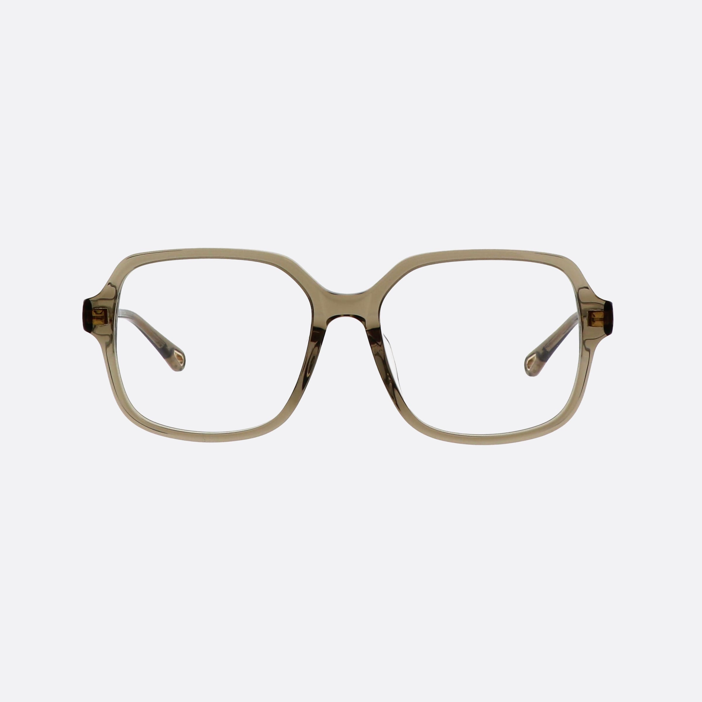 Chloe 53mm Ch0277oa Green Squared Women Eyeglasses - Side View