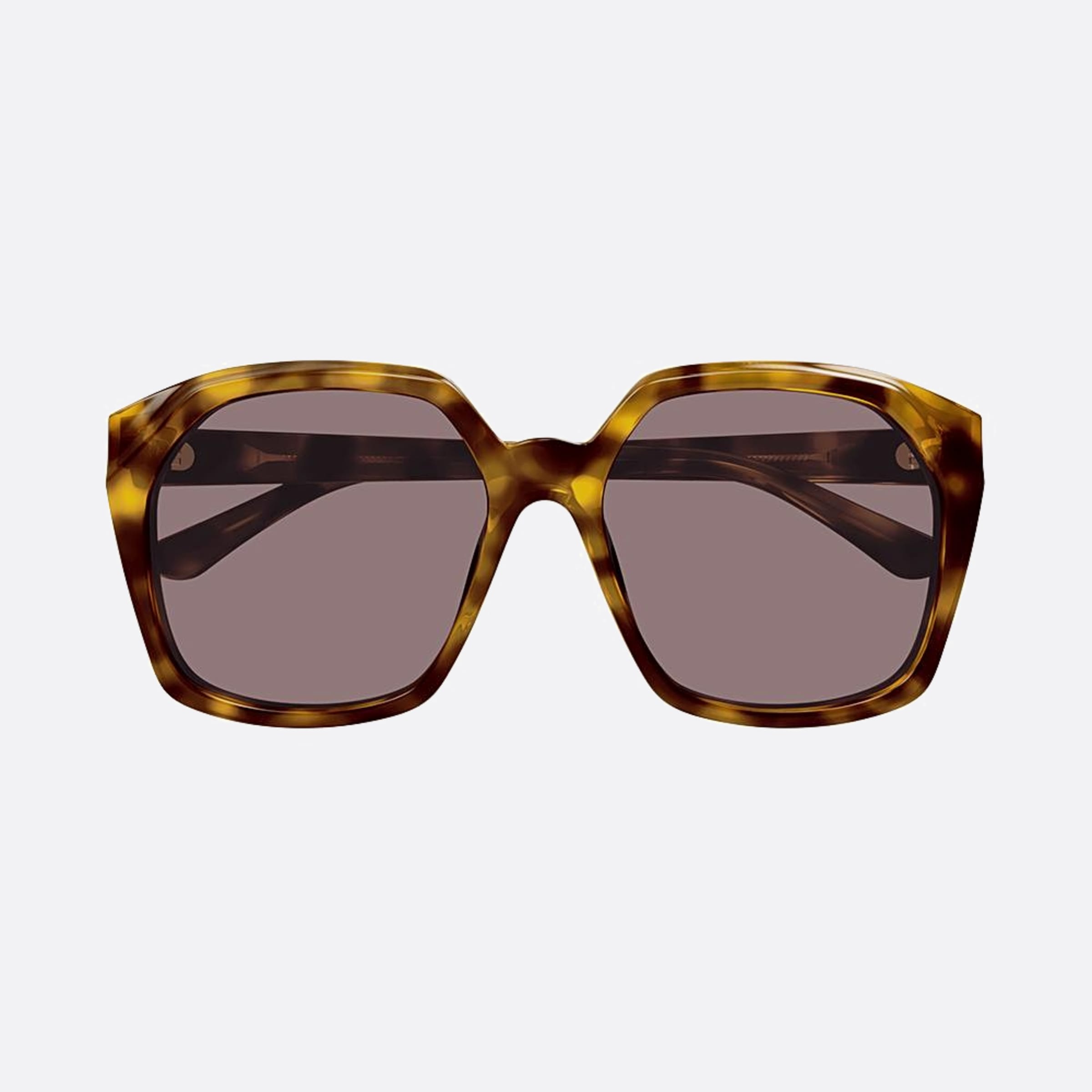 Chloe 57mm Hvvi Havana Oversize Women Sunglasses - Main View