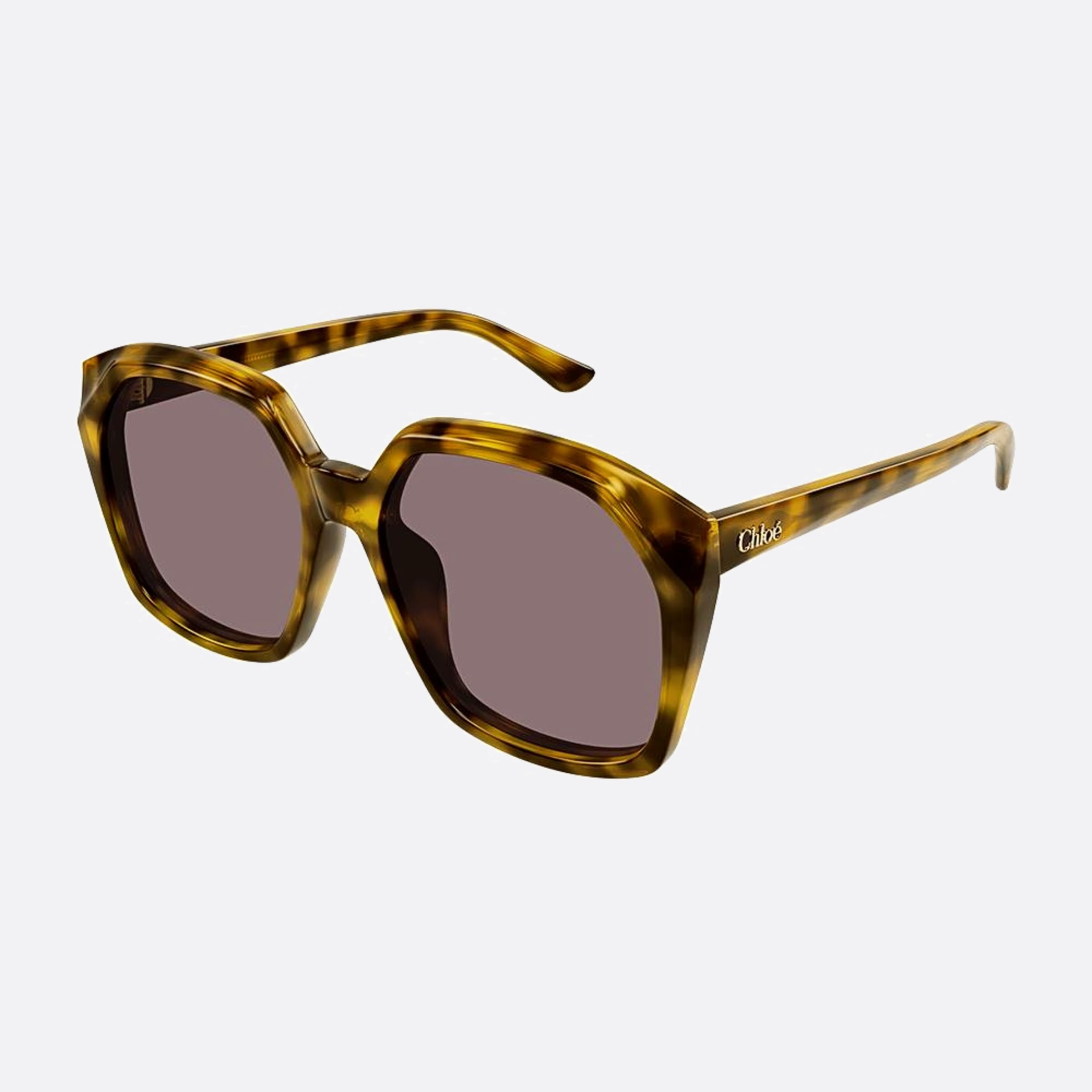 Chloe 57mm Hvvi Havana Oversize Women Sunglasses - Side View