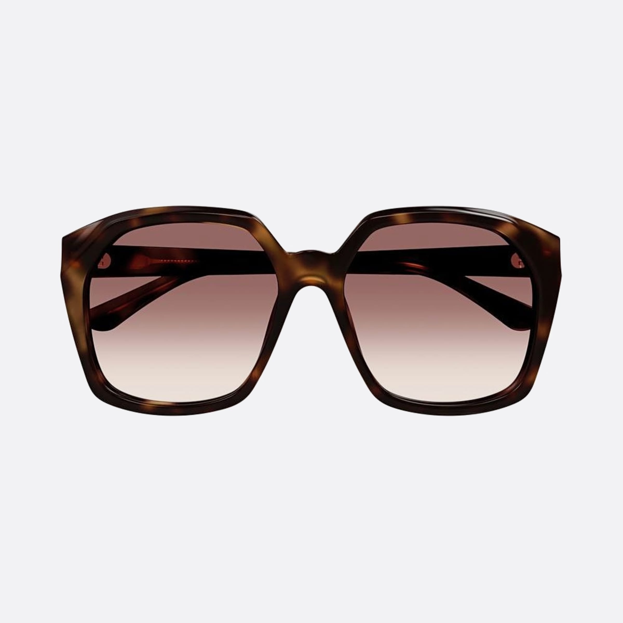 Chloe 57mm Hvrd Havana Oversize Women Sunglasses - Main View