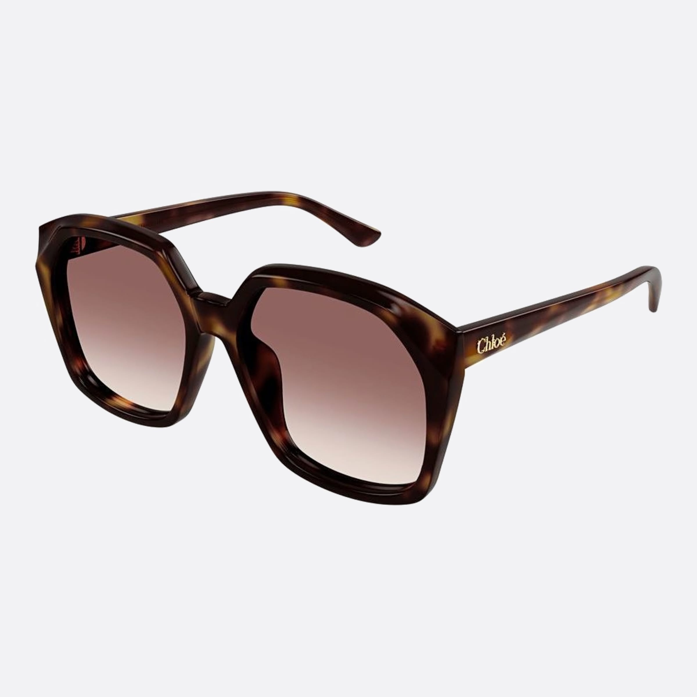 Chloe 57mm Hvrd Havana Oversize Women Sunglasses - Side View