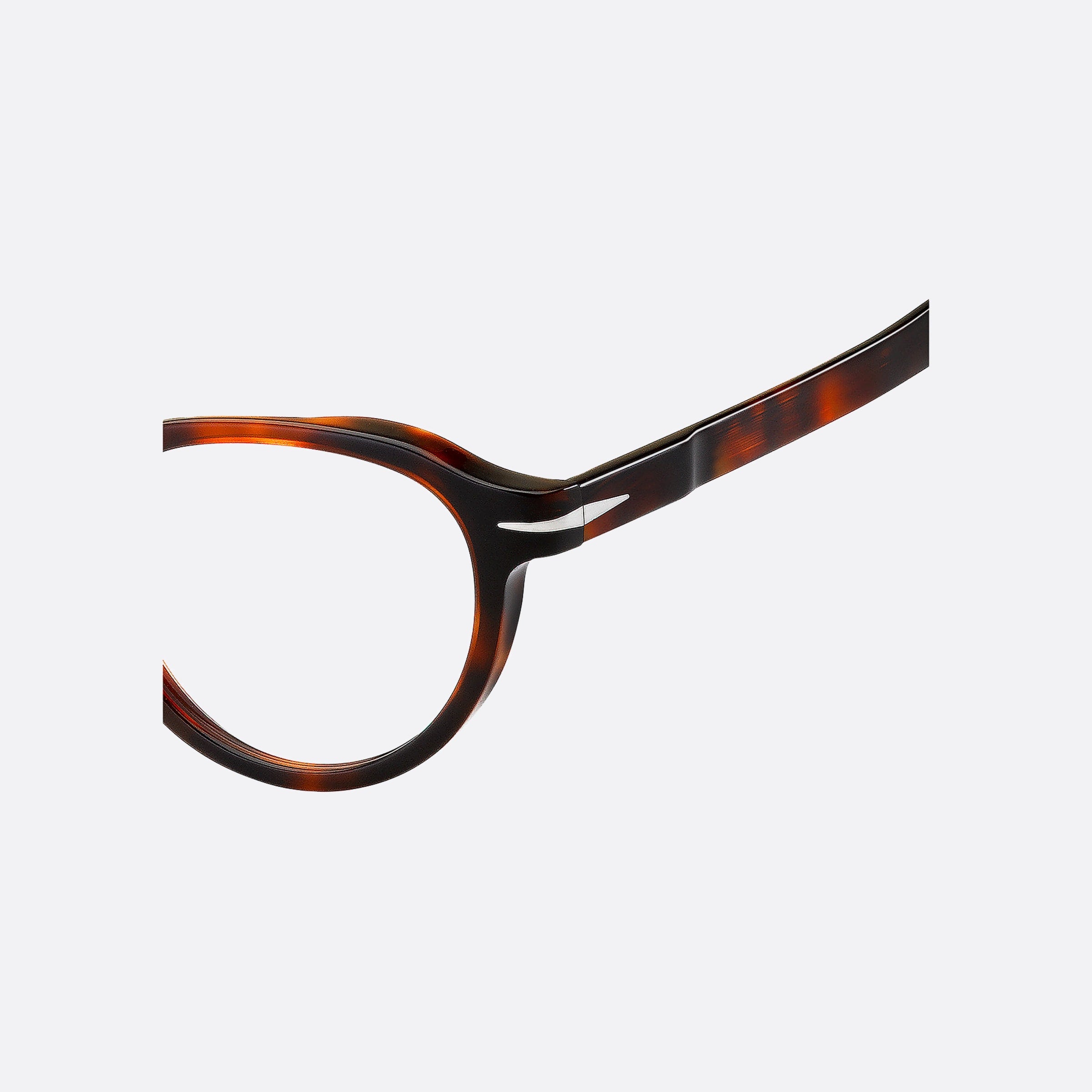 David 48mm Beckham 0uc Havana Round Men Eyeglasses - Lifestyle Shot