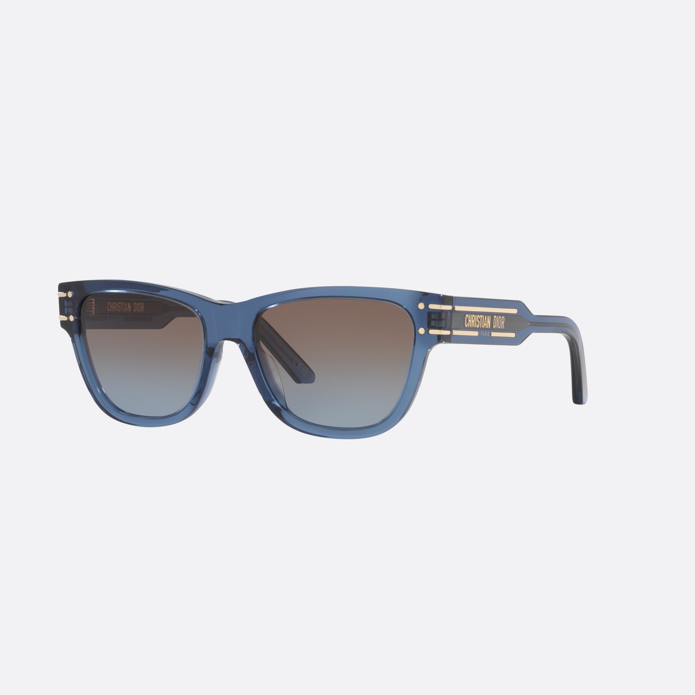 Dior 54mm Diorsignature S6u Cd40145u Blue Butterfly Women Sunglasses - Main View