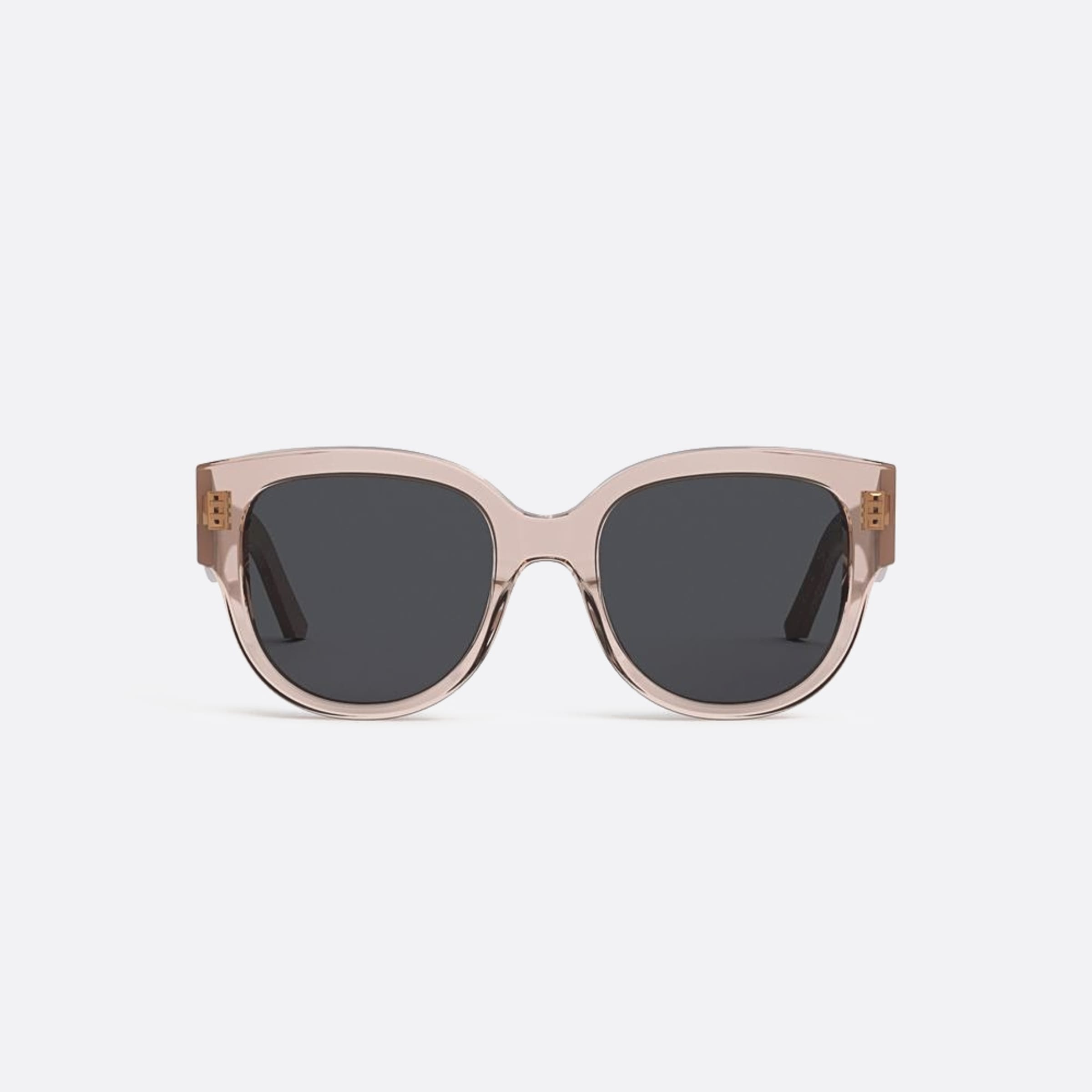 Dior 54mm Wildior 40a0 Transparent Butterfly Women Sunglasses - Main View