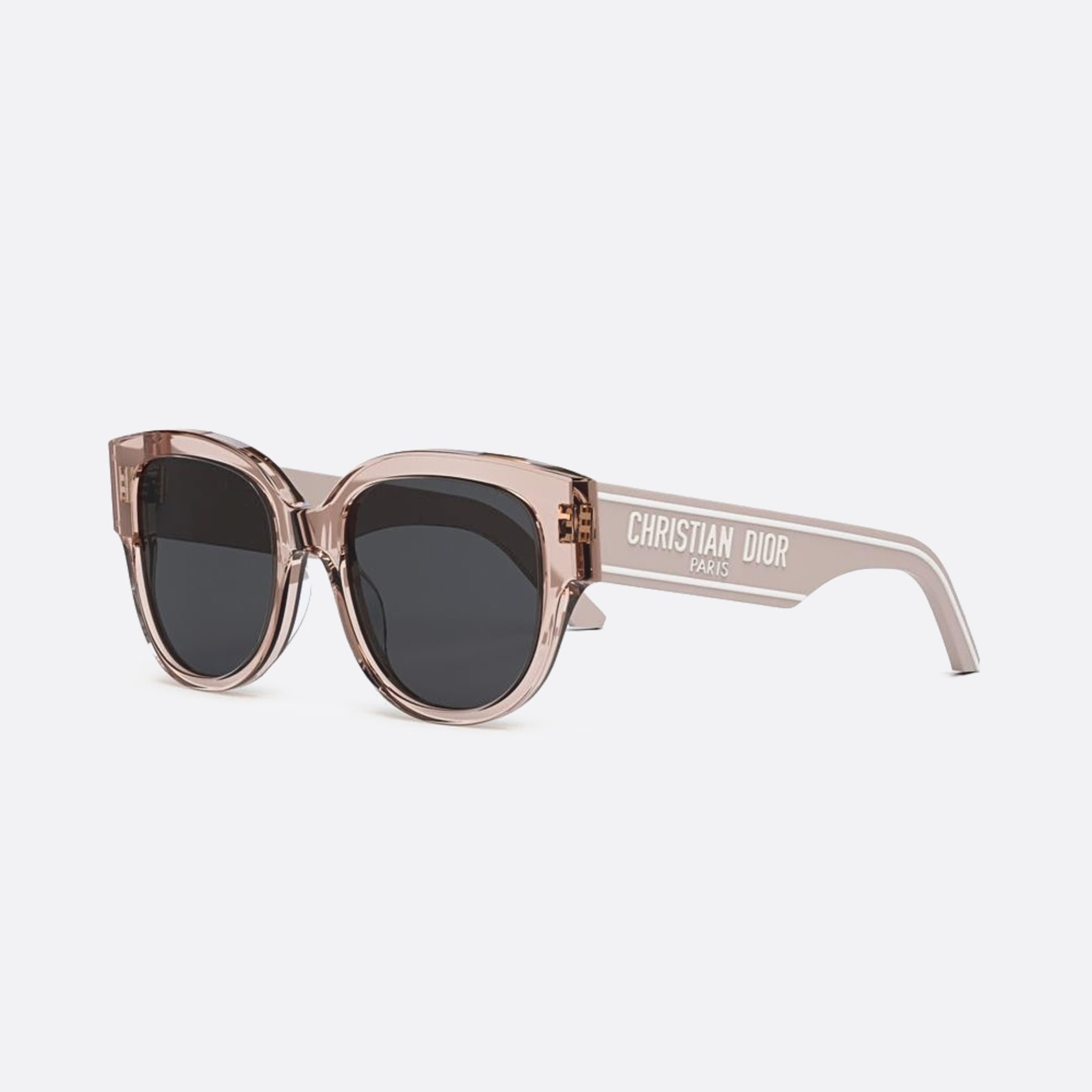Dior 54mm Wildior 40a0 Transparent Butterfly Women Sunglasses - Side View