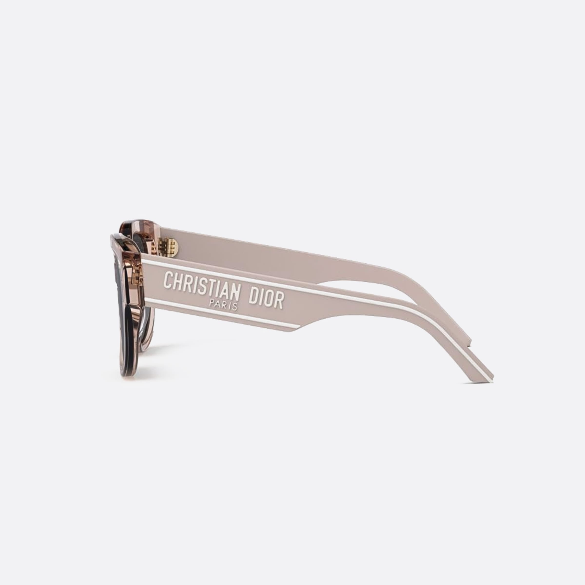 Dior 54mm Wildior 40a0 Transparent Butterfly Women Sunglasses - Detail View