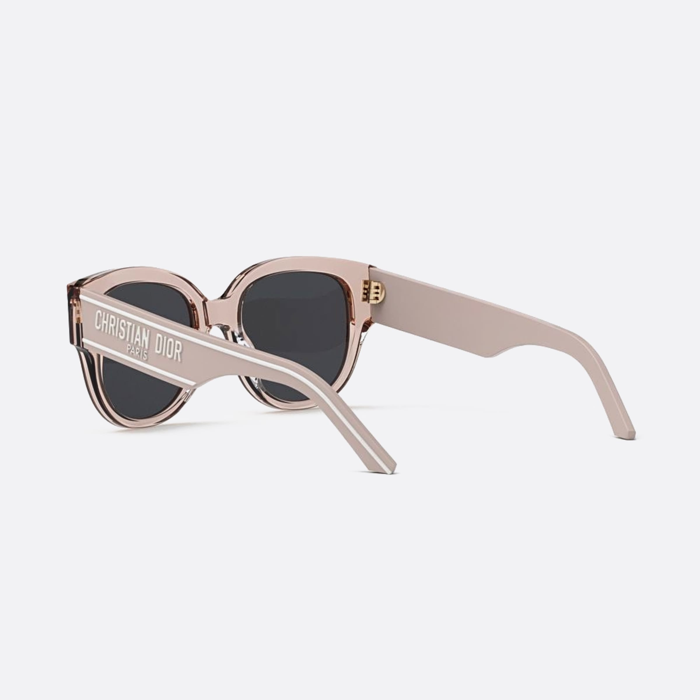 Dior 54mm Wildior 40a0 Transparent Butterfly Women Sunglasses - Lifestyle Shot