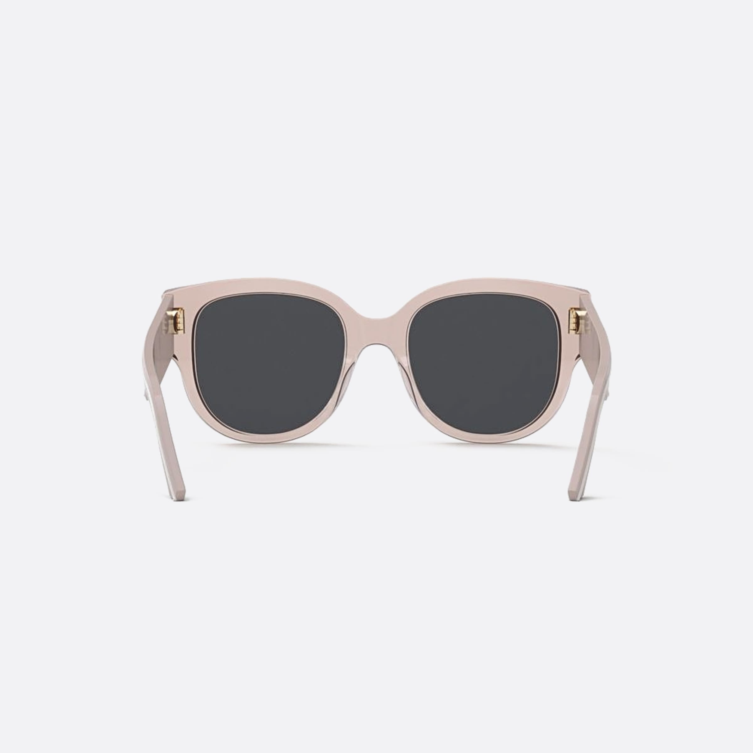 Dior 54mm Wildior 40a0 Transparent Butterfly Women Sunglasses - Additional Angle
