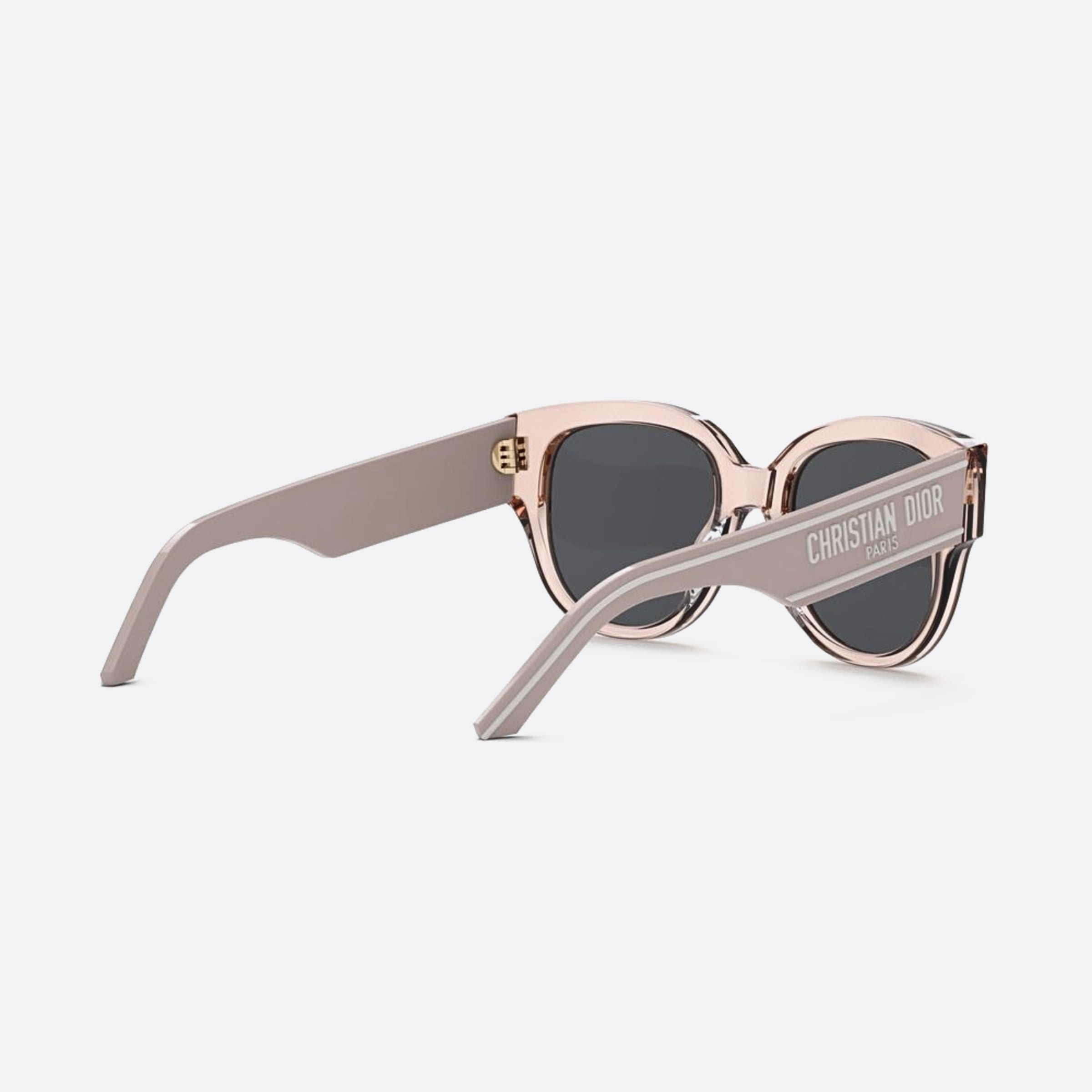 Dior 54mm Wildior 40a0 Transparent Butterfly Women Sunglasses - Additional Angle