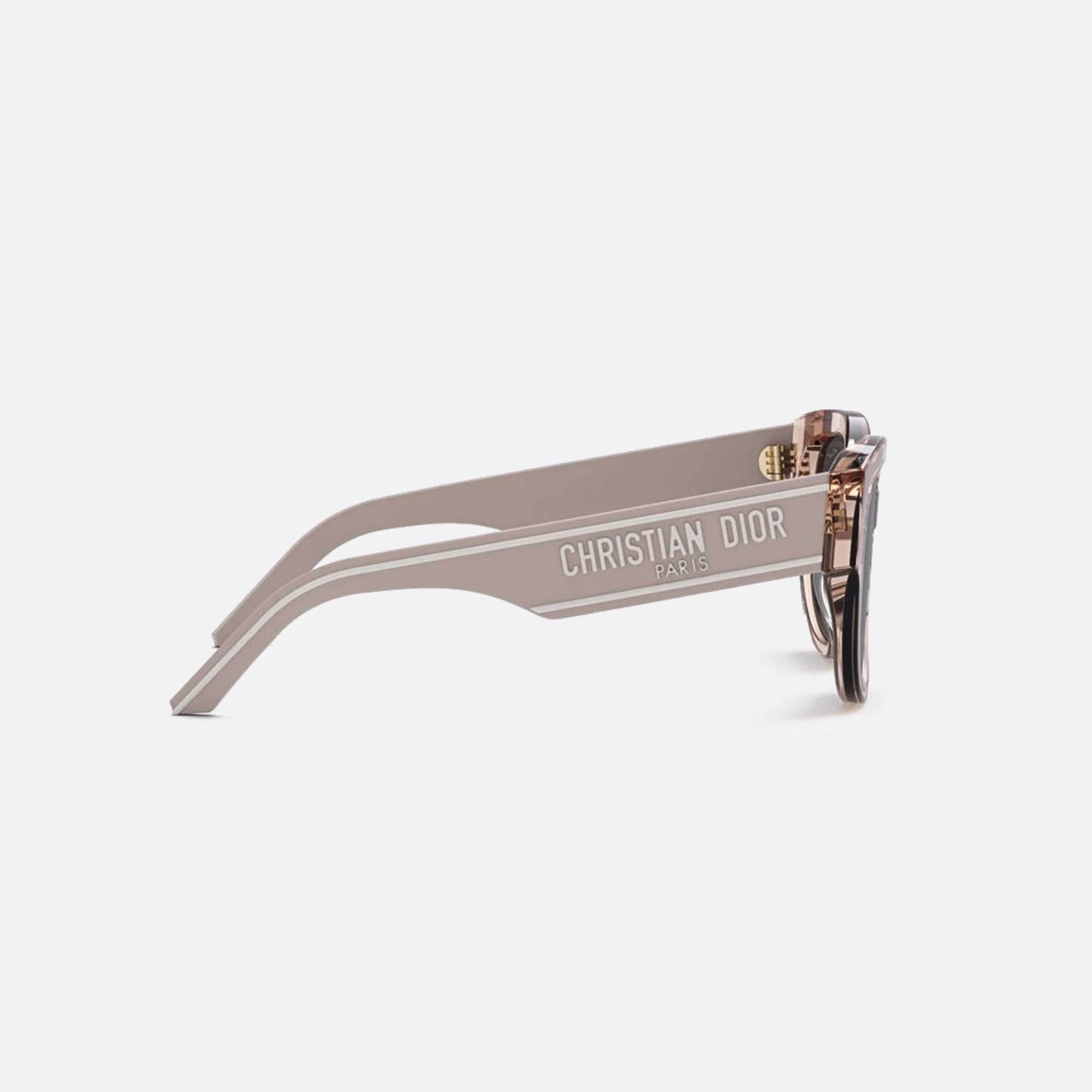 Dior 54mm Wildior 40a0 Transparent Butterfly Women Sunglasses - Additional Angle