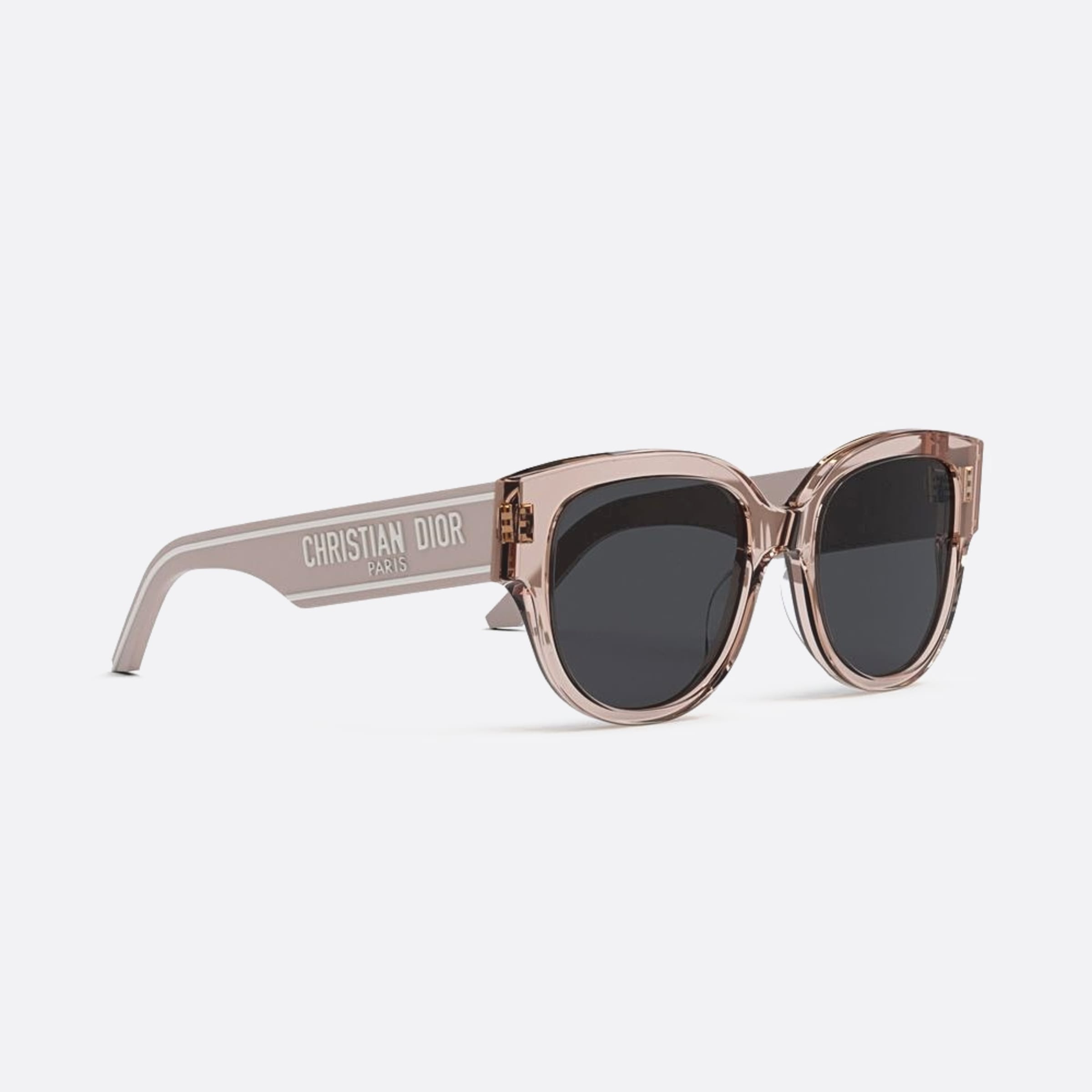 Dior 54mm Wildior 40a0 Transparent Butterfly Women Sunglasses - Additional Angle