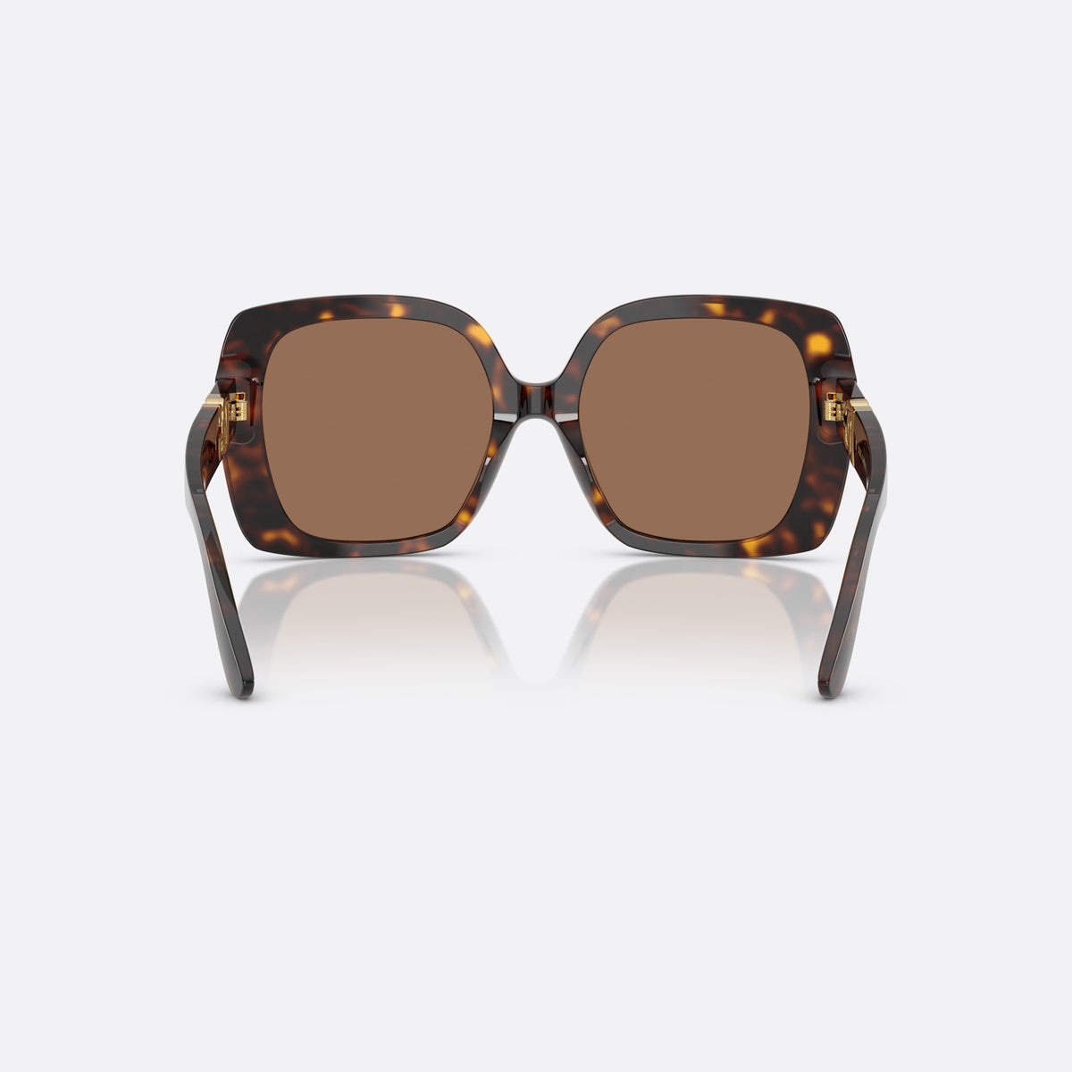 Dolce & Gabbana DG 4475 502/73 sunglasses, havana oversize frame for women, plain bridge, brand logo on temples, full-rim frame, back view