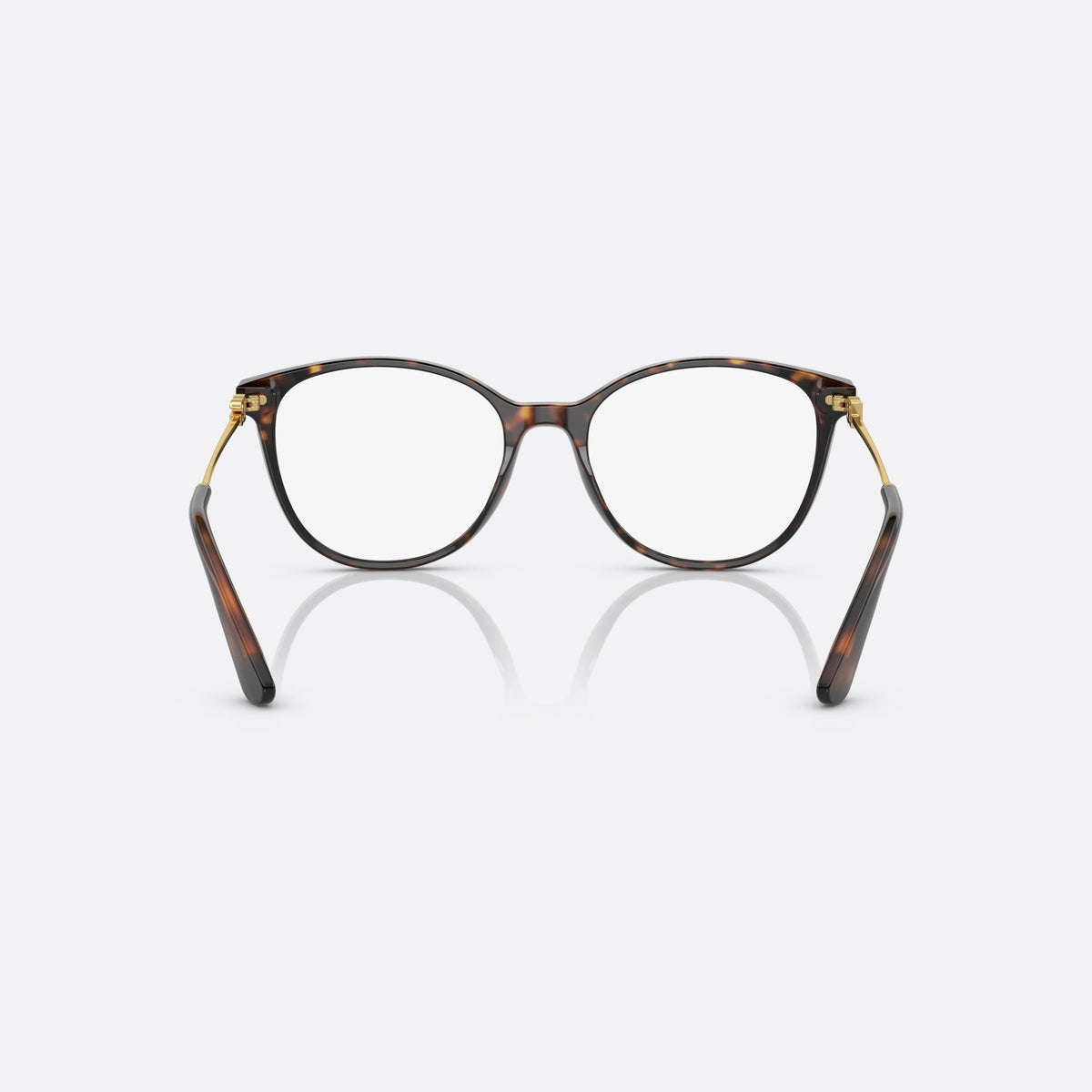 Dolce & Gabbana DG3363 502 eyeglasses, havana butterfly frame for women, plain acetate bridge, brand logo plaque on temples, back view