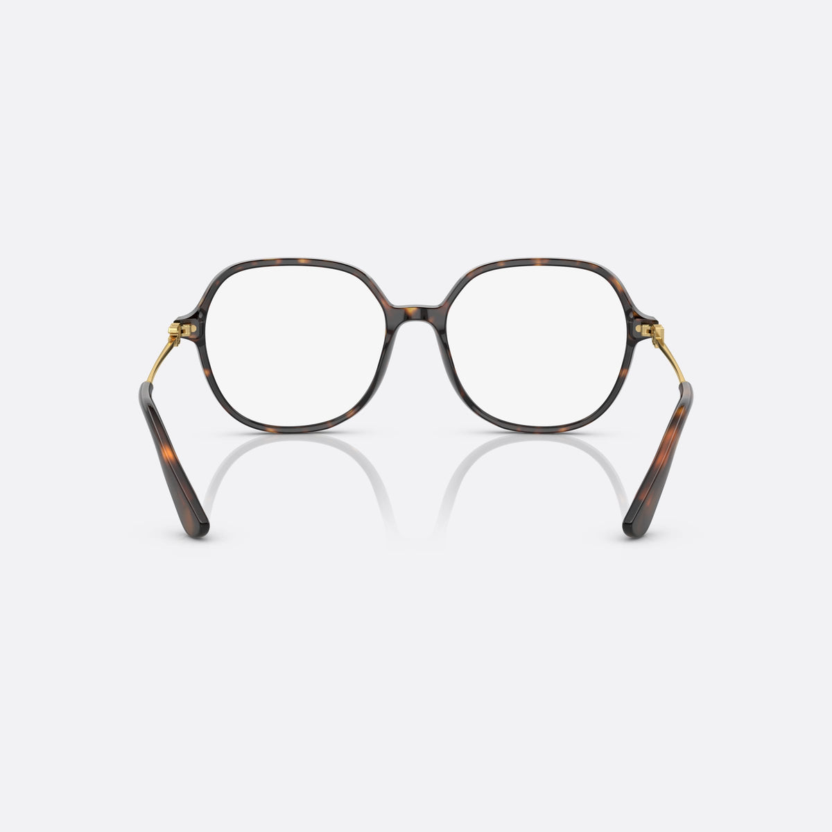 Dolce & Gabbana DG3364 502 eyeglasses, havana butterfly frame for women, plain bridge, brand logo plaque on temples, back view