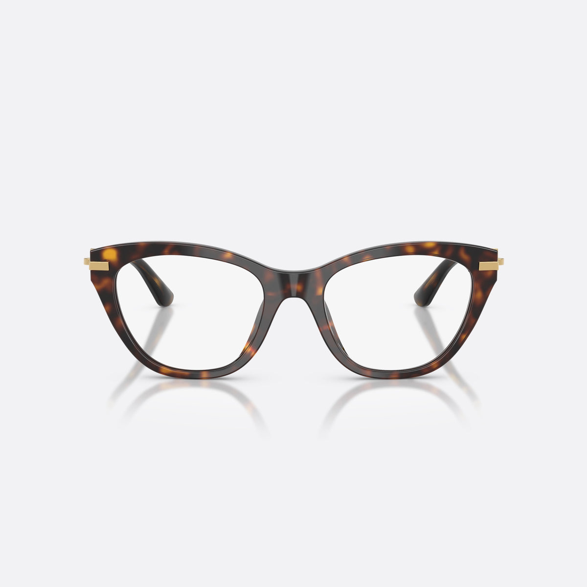 Dolce & Gabbana DG3428 502 eyeglasses, havana butterfly frame for women, plain acetate bridge, brand logo plaque on temple, front view
