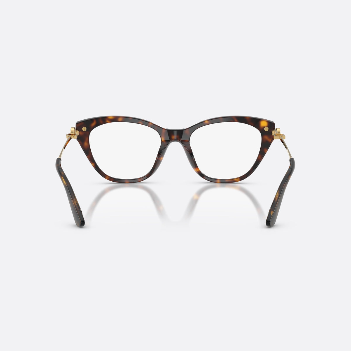 Dolce & Gabbana DG3428 502 eyeglasses, havana butterfly frame for women, plain acetate bridge, brand logo plaque on temple, back view