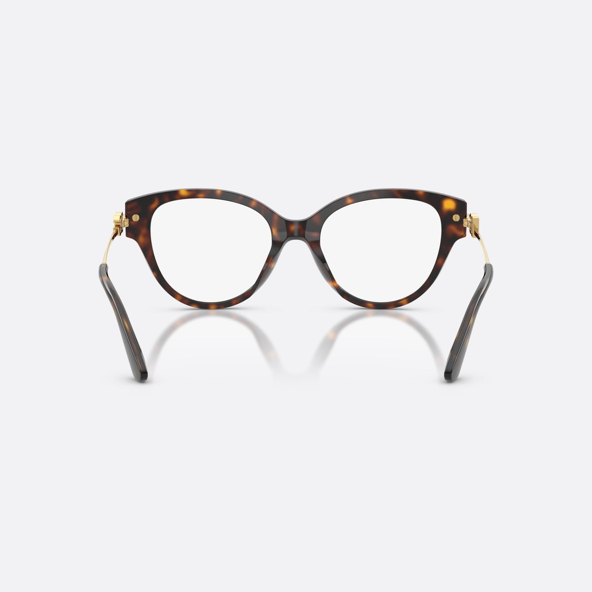 Dolce & Gabbana DG3438 502 eyeglasses, havana butterfly frame for women, plain bridge with curved top, back view
