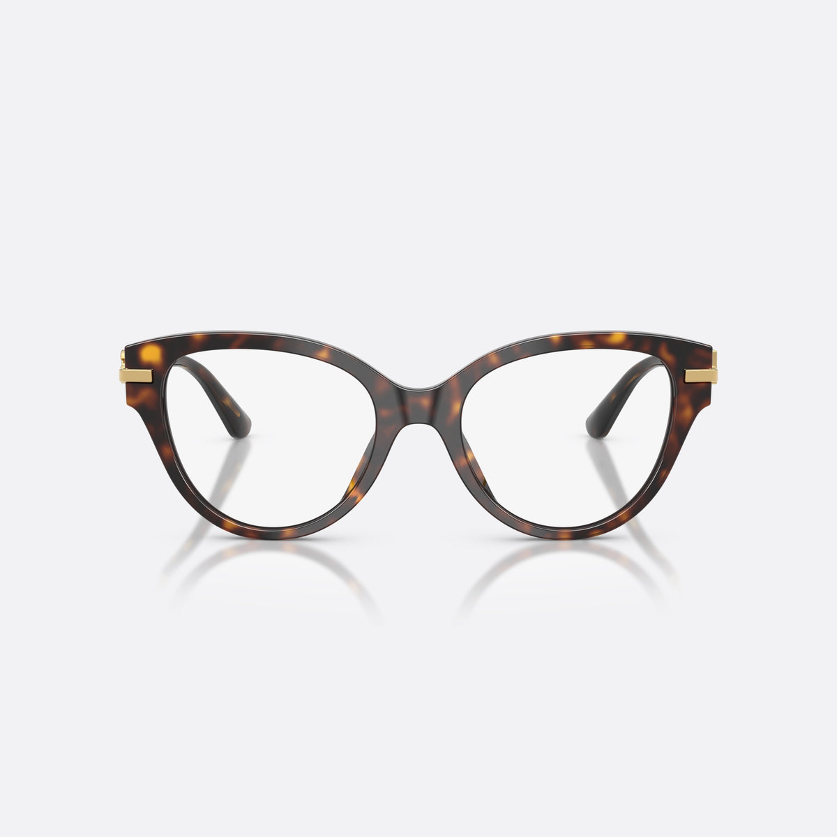Dolce & Gabbana DG3438 502 eyeglasses, havana butterfly frame for women, plain bridge, brand logo plaque on temple, front view