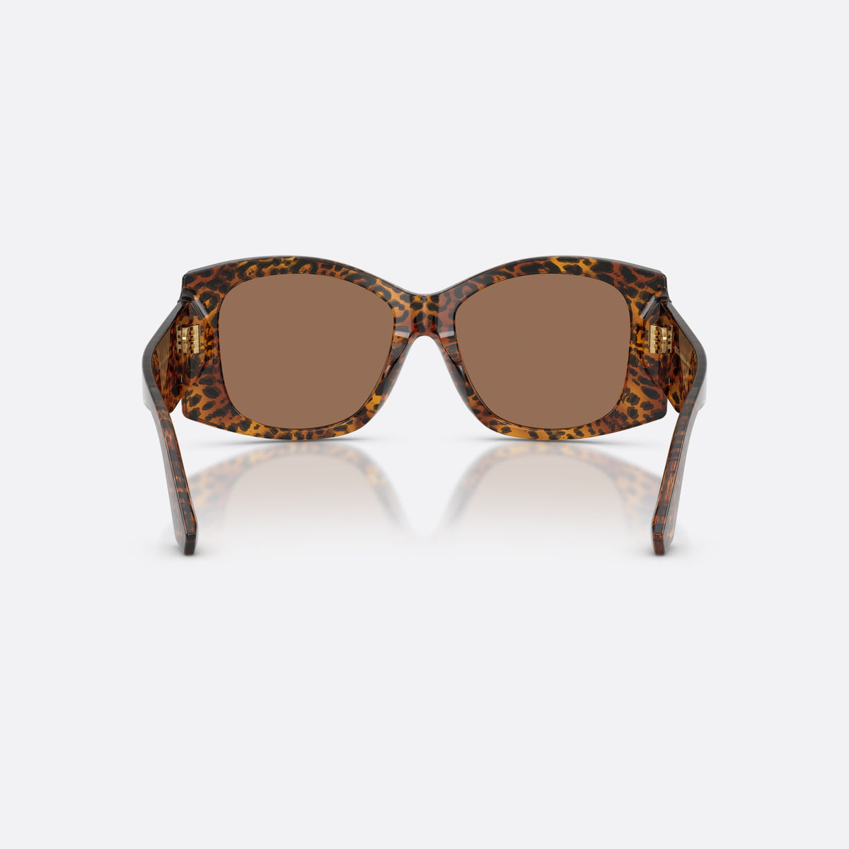 Dolce & Gabbana DG4501 347073 sunglasses, brown butterfly frame for women, plain integrated bridge, brand logo plaque on temple, back view