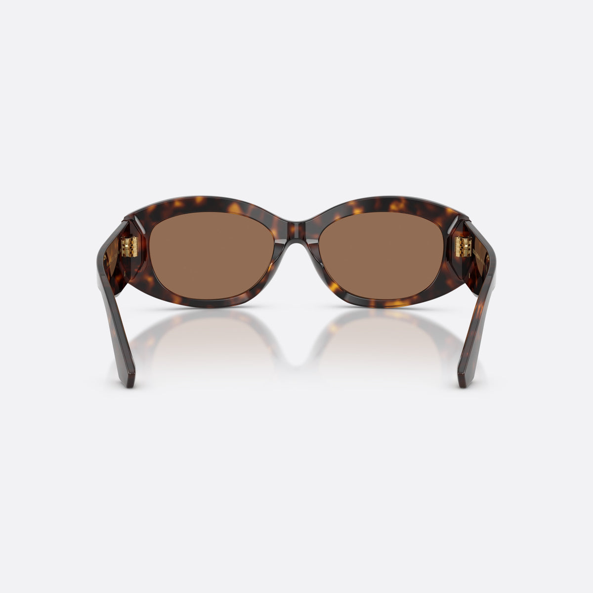 Dolce & Gabbana DG4502 502/73 sunglasses, havana oval frame for women, keyhole bridge, brand logo on temples, full-rim frame, back view