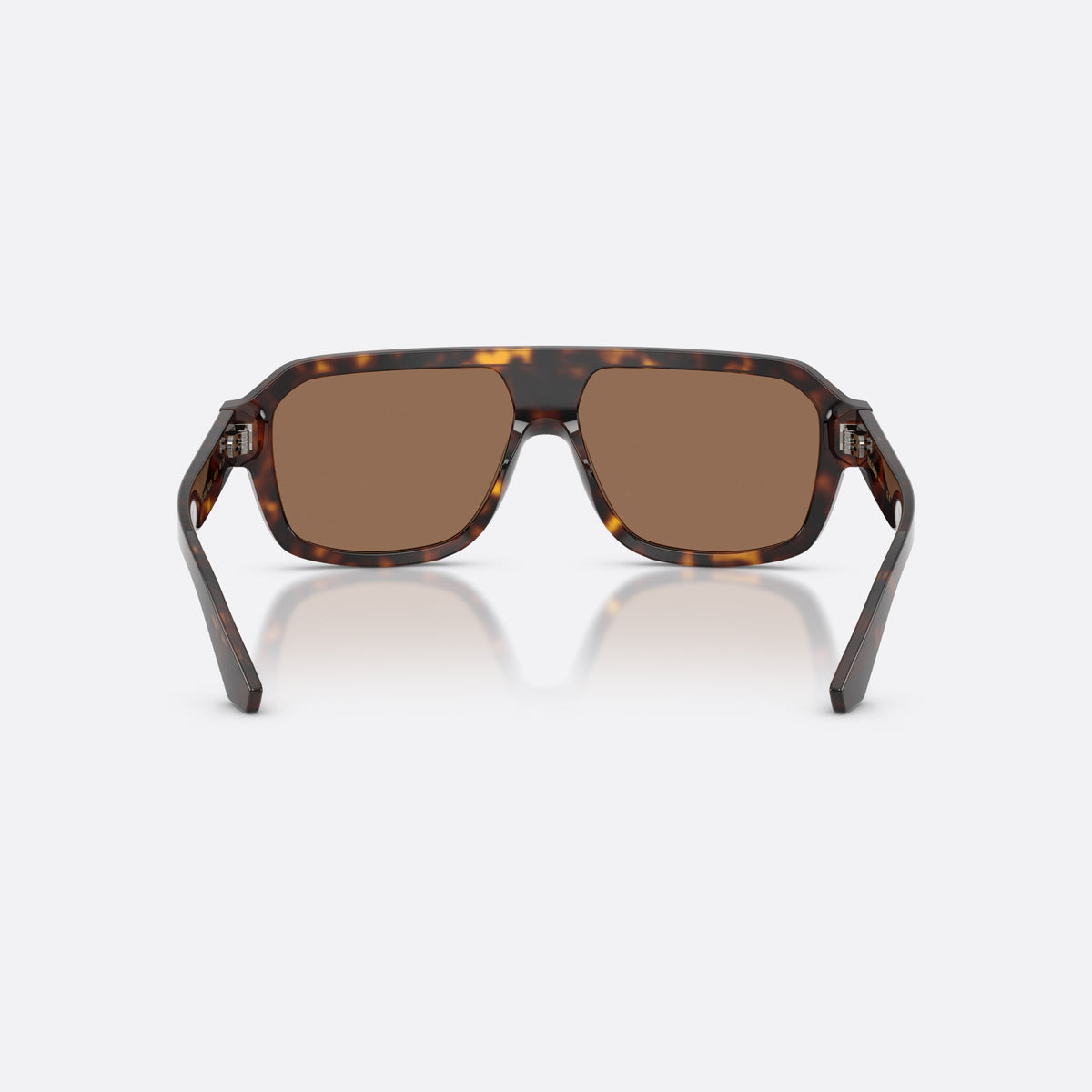 Dolce & Gabbana DG4507 502/73 sunglasses, havana pilot frame for men, integrated plain bridge, brand logo on temple, back view