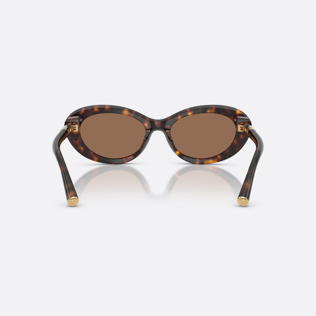 Dolce & Gabbana DG4519 502/73 sunglasses, havana oval frame for women, plain bridge, brand lettering on temple, full rim frame, back view