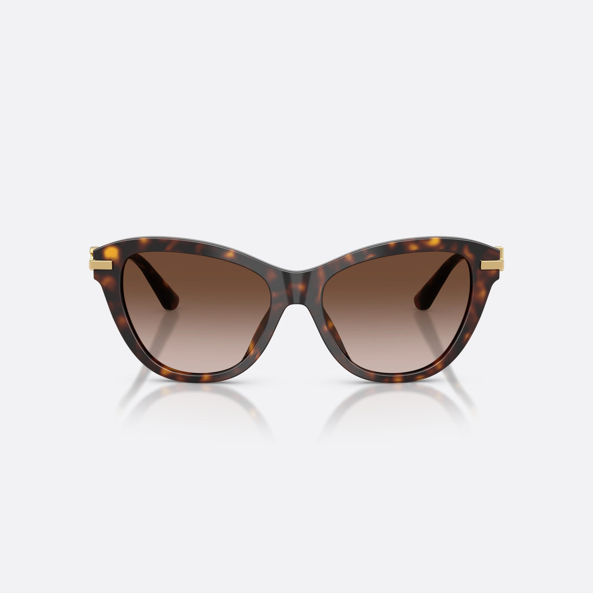 Dolce & Gabbana DG4534 502/13 sunglasses, havana butterfly frame for women, plain bridge, brand logo plaque on temple, front view