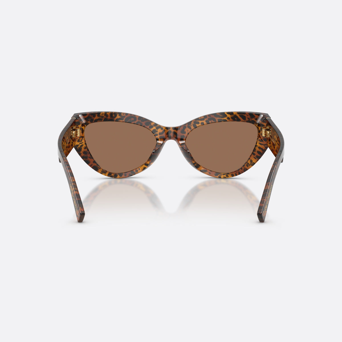 Dolce & Gabbana DG4536 347073 sunglasses, brown cat eye frame for women, keyhole bridge, brand logo on temple plaque, back view