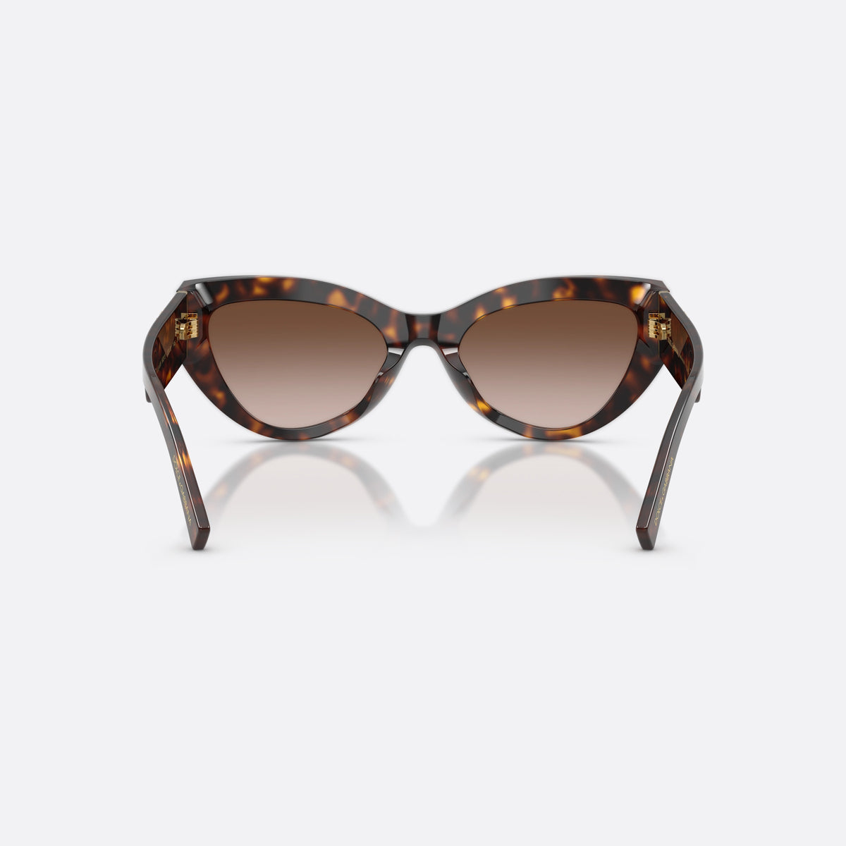 Dolce & Gabbana DG4536 502/13 sunglasses, havana cat eye frame for women, plain bridge, brand logo on heart plaque, back view
