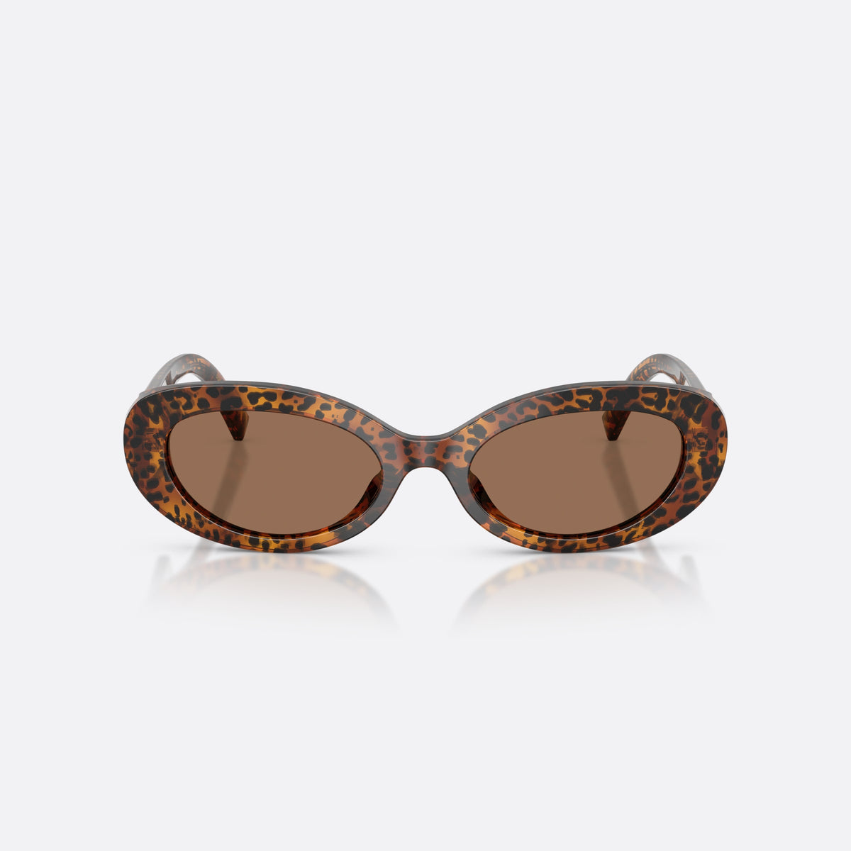 Dolce & Gabbana DG4537 347073 sunglasses, brown oval frame for women, plain bridge, brand logo on plaque, wide tapered temples, front view
