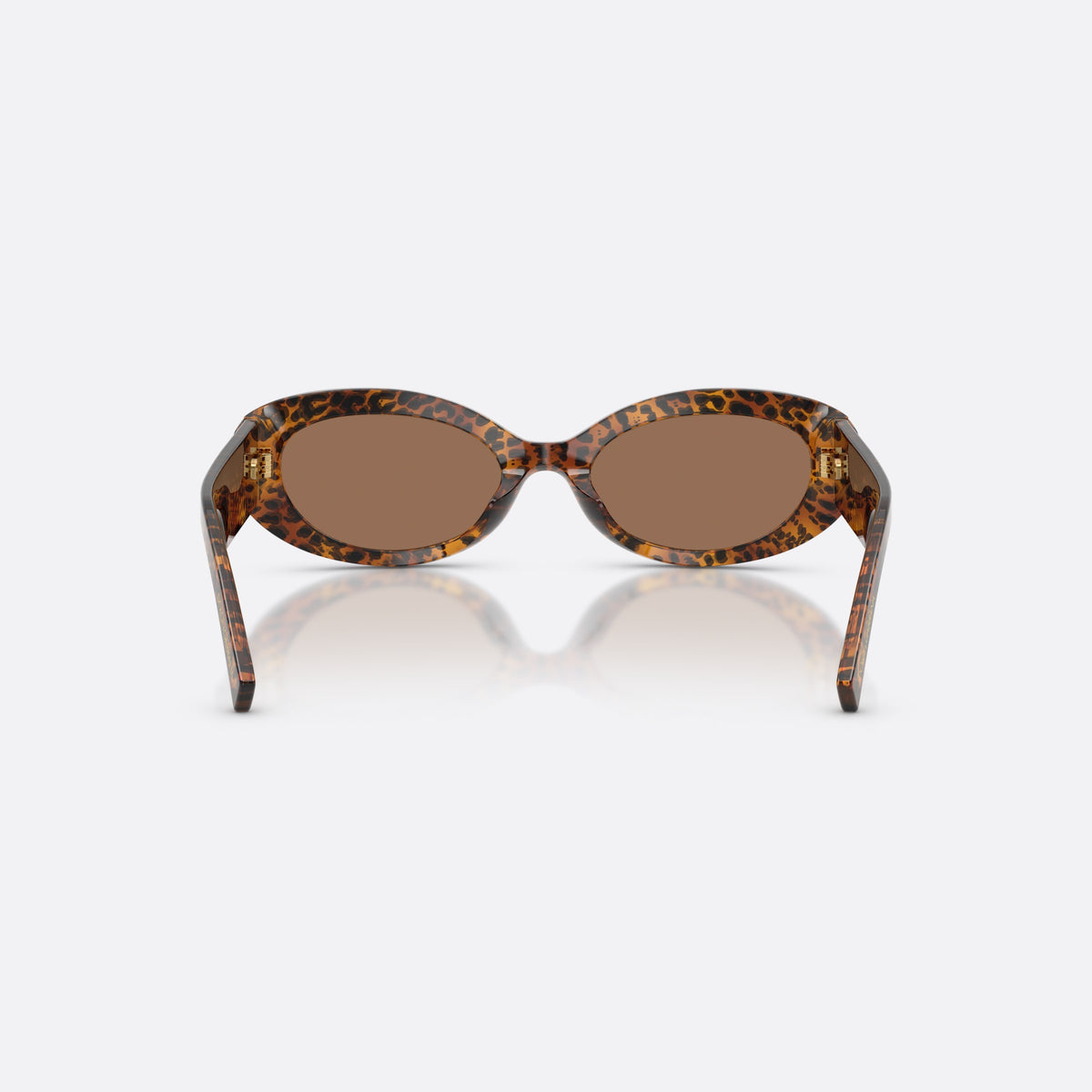 Dolce & Gabbana DG4537 347073 sunglasses, brown oval frame for women, plain bridge, brand logo on plaque, wide tapered temples, back view