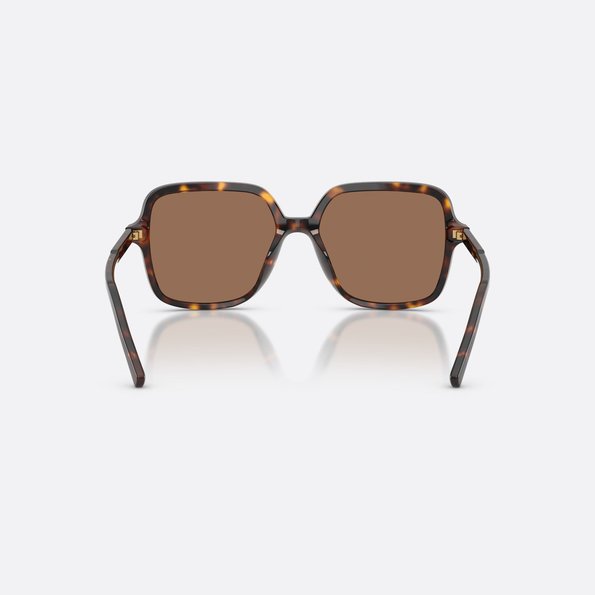 Ochelari de soare Dolce & Gabbana DG4539 502/73, patrati havana, pentru femei, punte dublă simplă, literele brandului pe brațe, vedere din spate