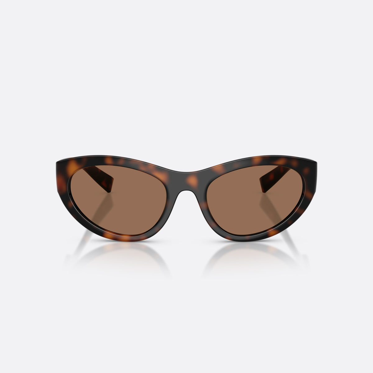 Dolce & Gabbana DG6207 502/73 sunglasses, havana cat eye frame for women, brand logo plaque on temple, full-rim thick frame, front view