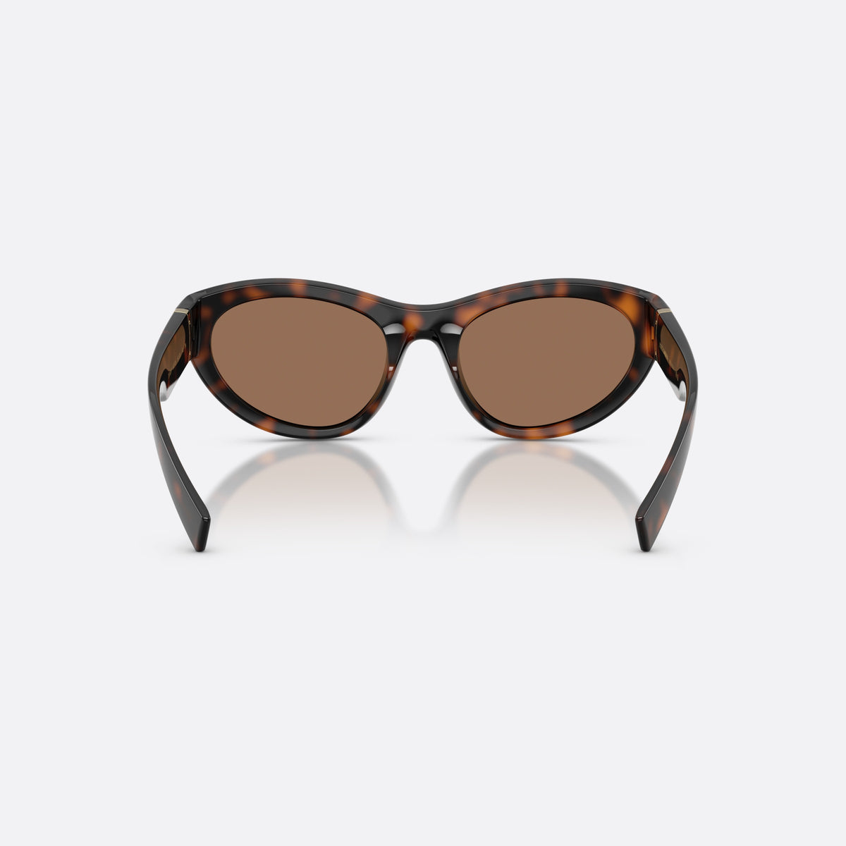 Dolce & Gabbana DG6207 502/73 sunglasses, havana cat eye frame for women, brand logo plaque on temple, full-rim thick frame, back view
