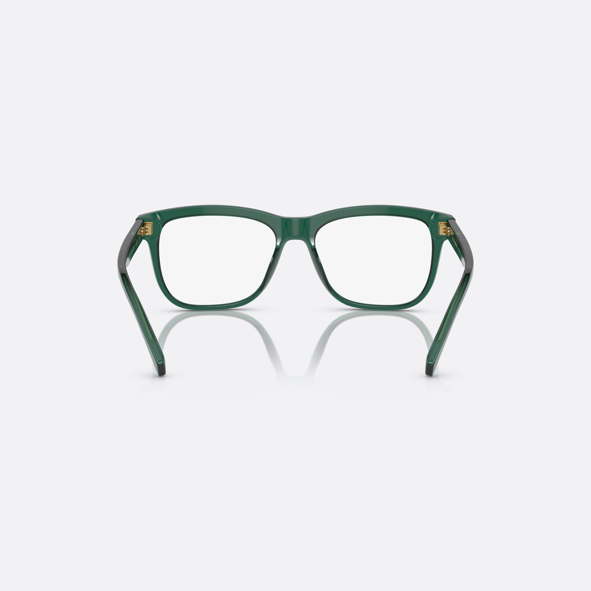 Dolce & Gabbana DX3356 3008 eyeglasses, green rectangle frame for kids, plain bridge, brand lettering on temples, full-rim frame, back view
