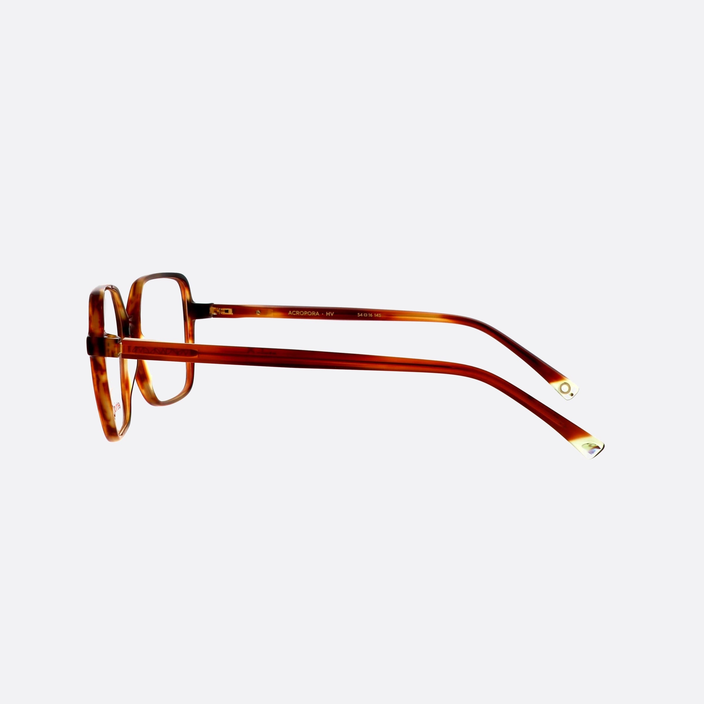 Etnia 54mm Barcelona 5acropo Tortoise Rectangle Women Eyeglasses - Detail View