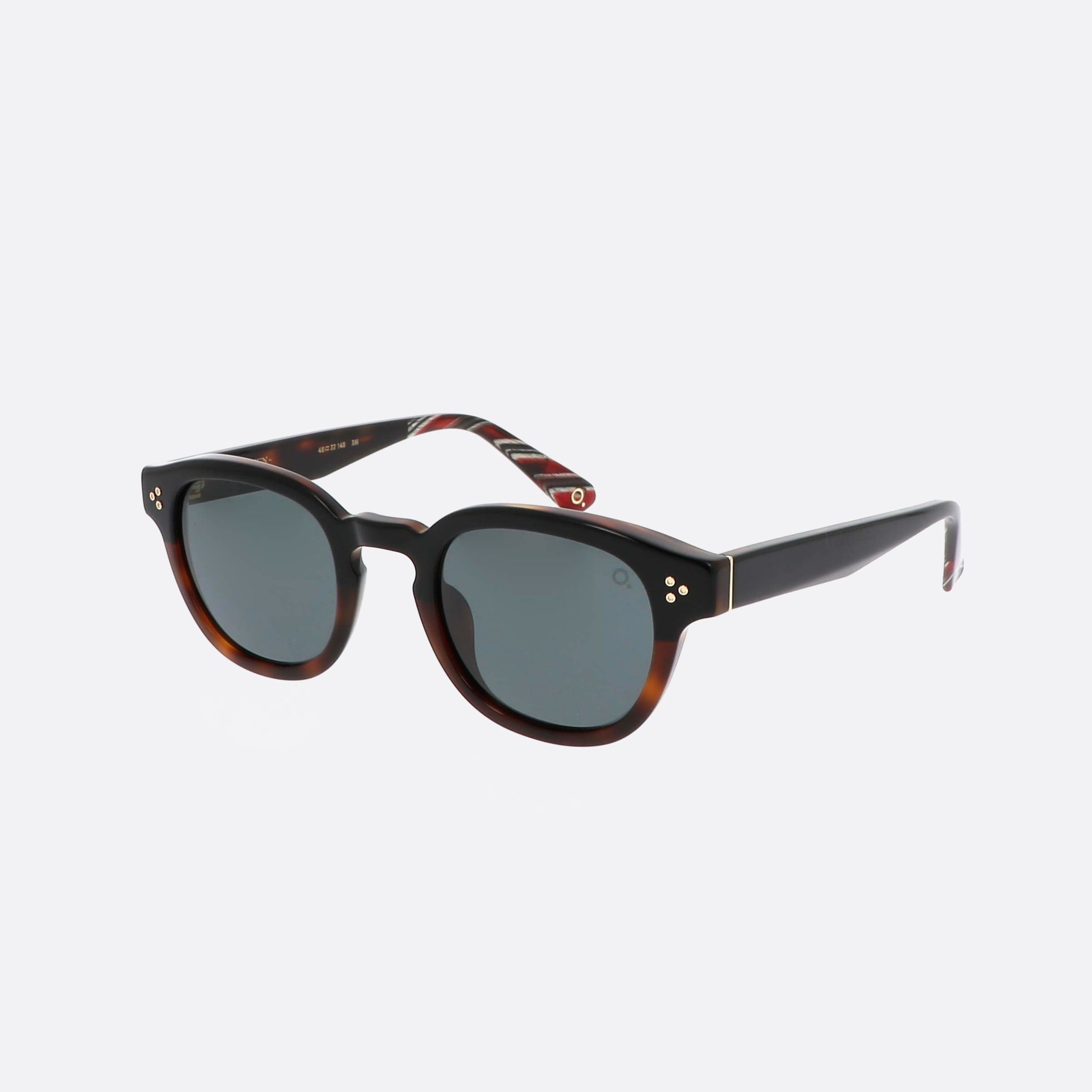 Etnia 48mm Barcelona Pala 5pala Bkhv Black Pantos Polarized Unisex Sunglasses - Main View