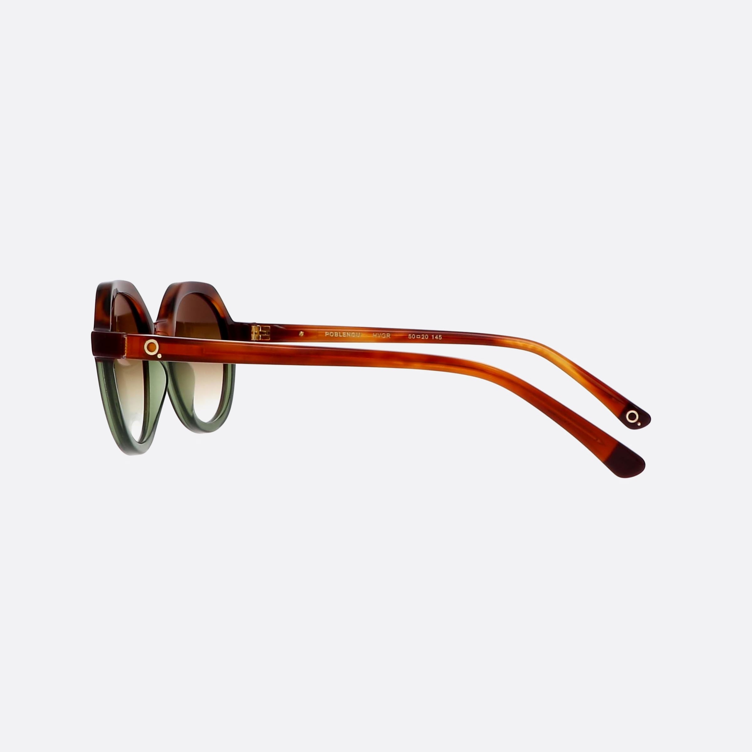 Etnia 50mm Barcelona Poblenou 5poblen Hvgr Tortoise Round Photochromic Unisex Sunglasses - Detail View