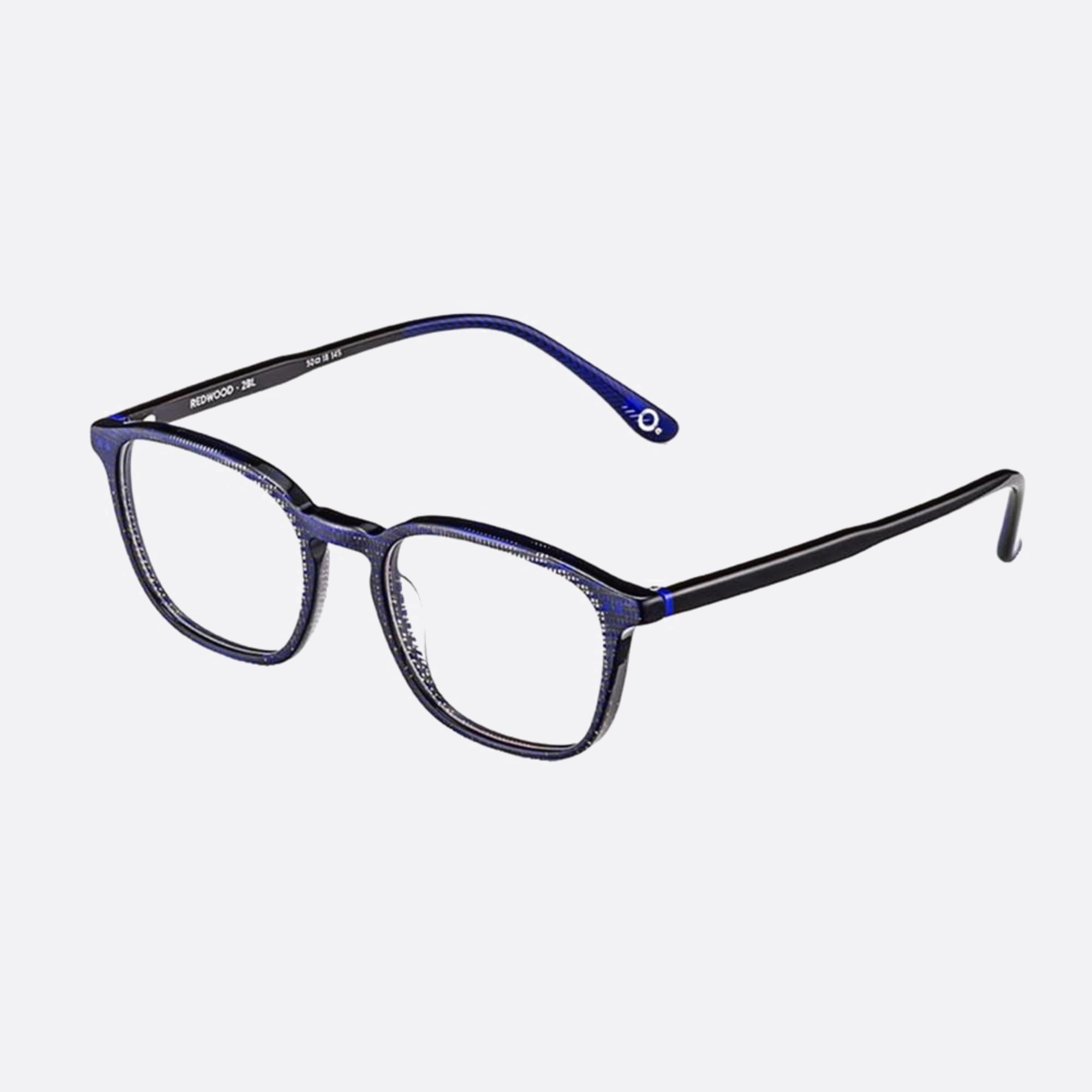 Etnia Barcelona Redwood Blue Geometric Unisex Eyeglasses - Side View