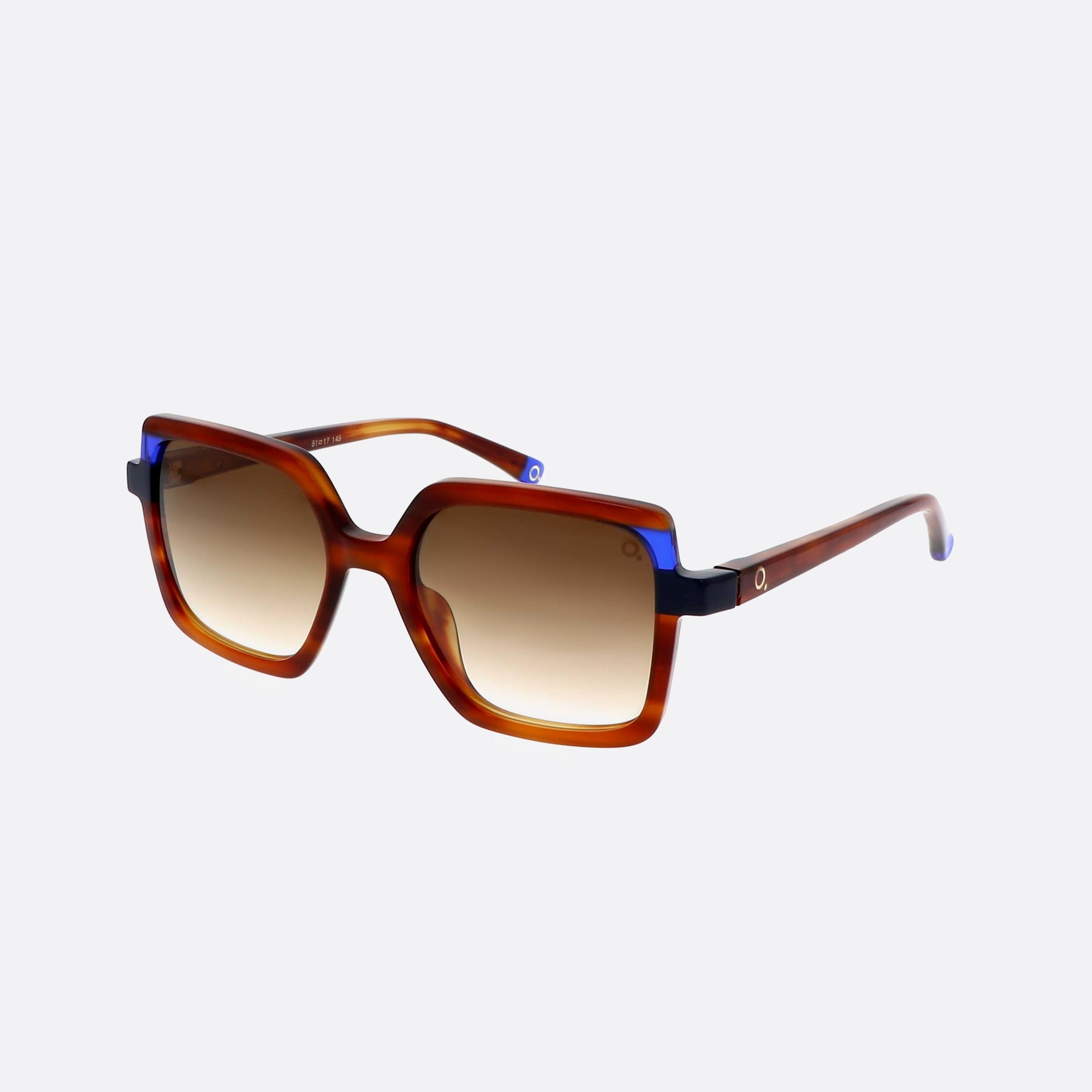 Etnia 51mm Barcelona Sarria 5sarria Hvbl Tortoise Square Photochromic Unisex Sunglasses - Main View