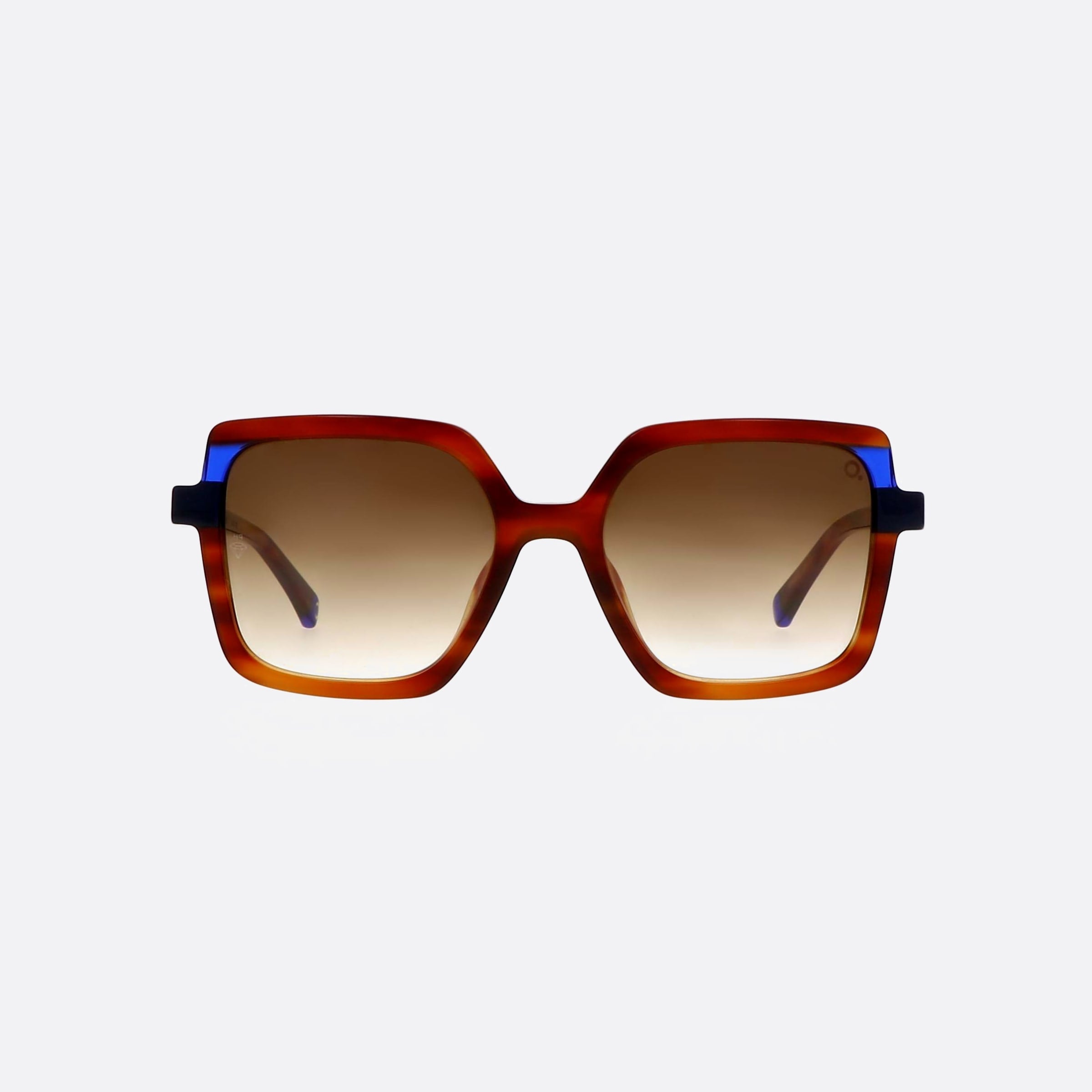Etnia 51mm Barcelona Sarria 5sarria Hvbl Tortoise Square Photochromic Unisex Sunglasses - Side View