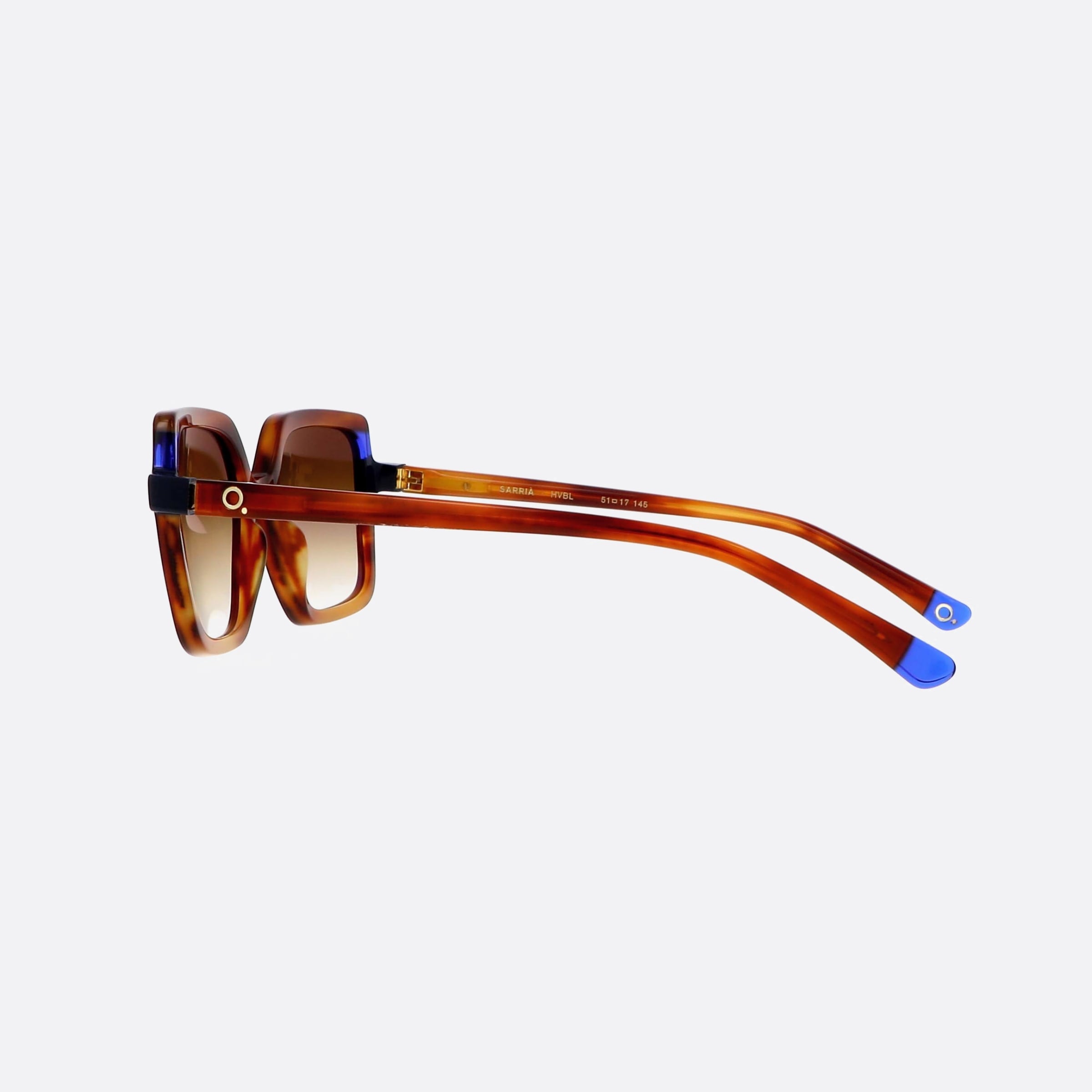 Etnia 51mm Barcelona Sarria 5sarria Hvbl Tortoise Square Photochromic Unisex Sunglasses - Detail View