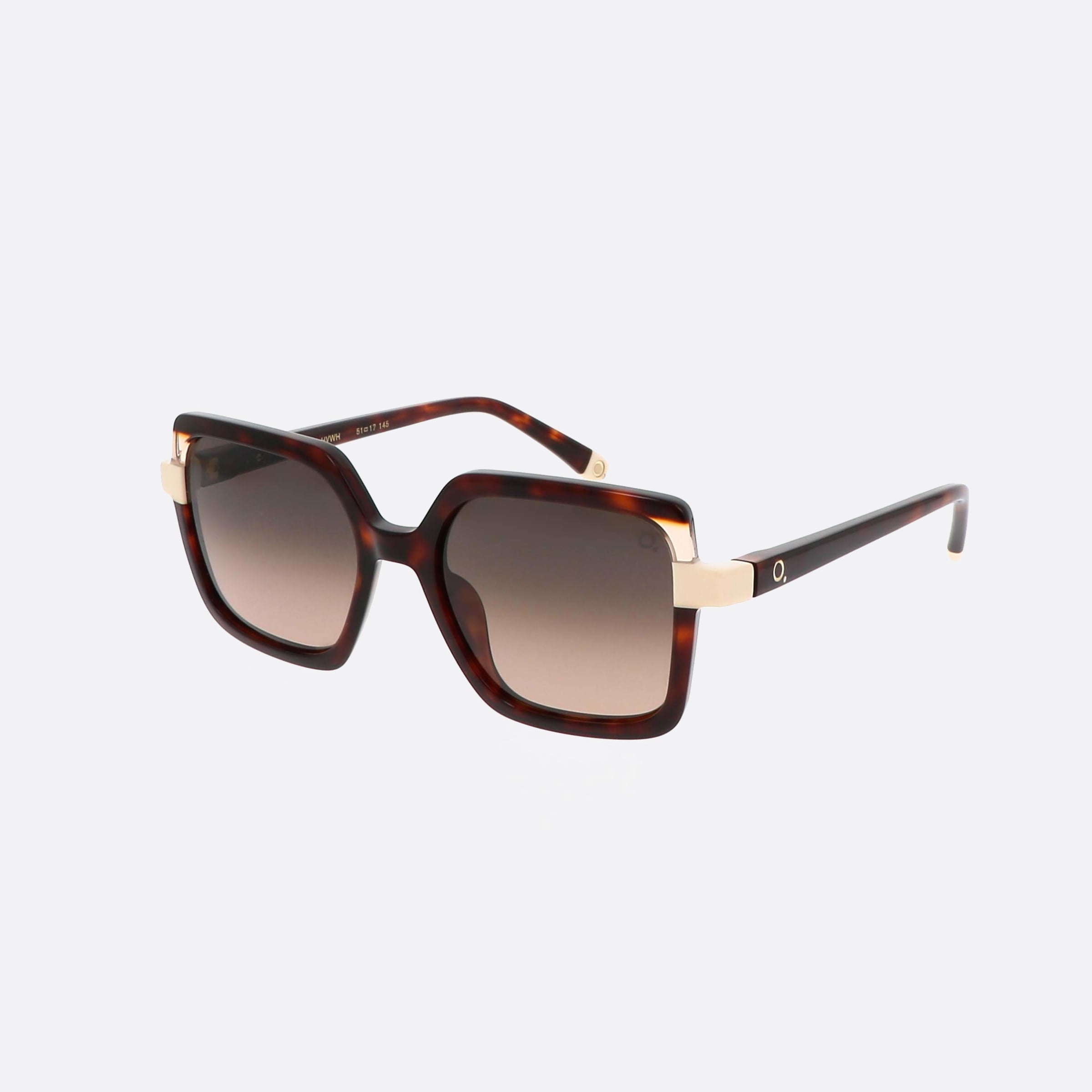 Etnia 51mm Barcelona Sarria 5sarria Hvwh Tortoise Square Photochromic Unisex Sunglasses - Main View