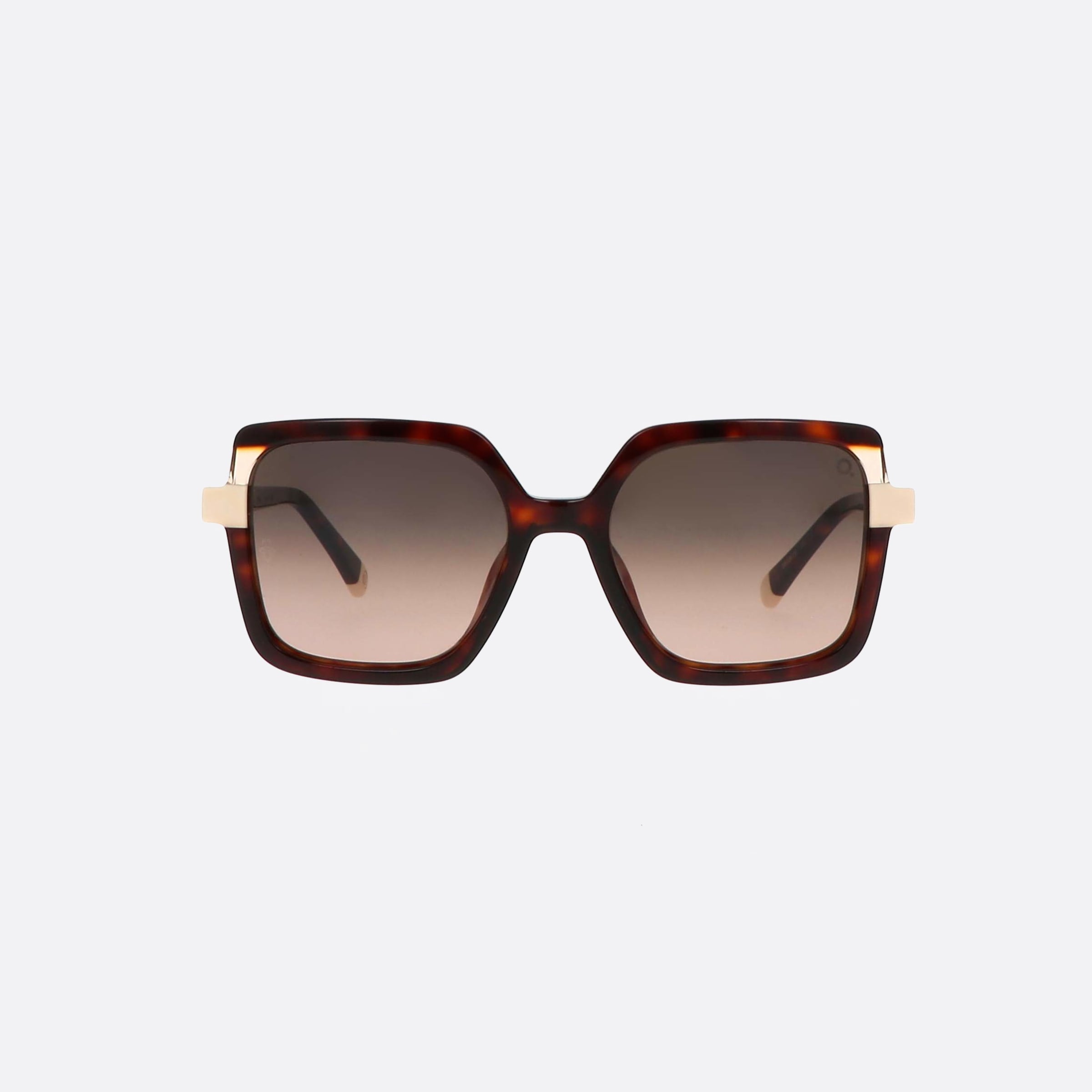 Etnia 51mm Barcelona Sarria 5sarria Hvwh Tortoise Square Photochromic Unisex Sunglasses - Side View
