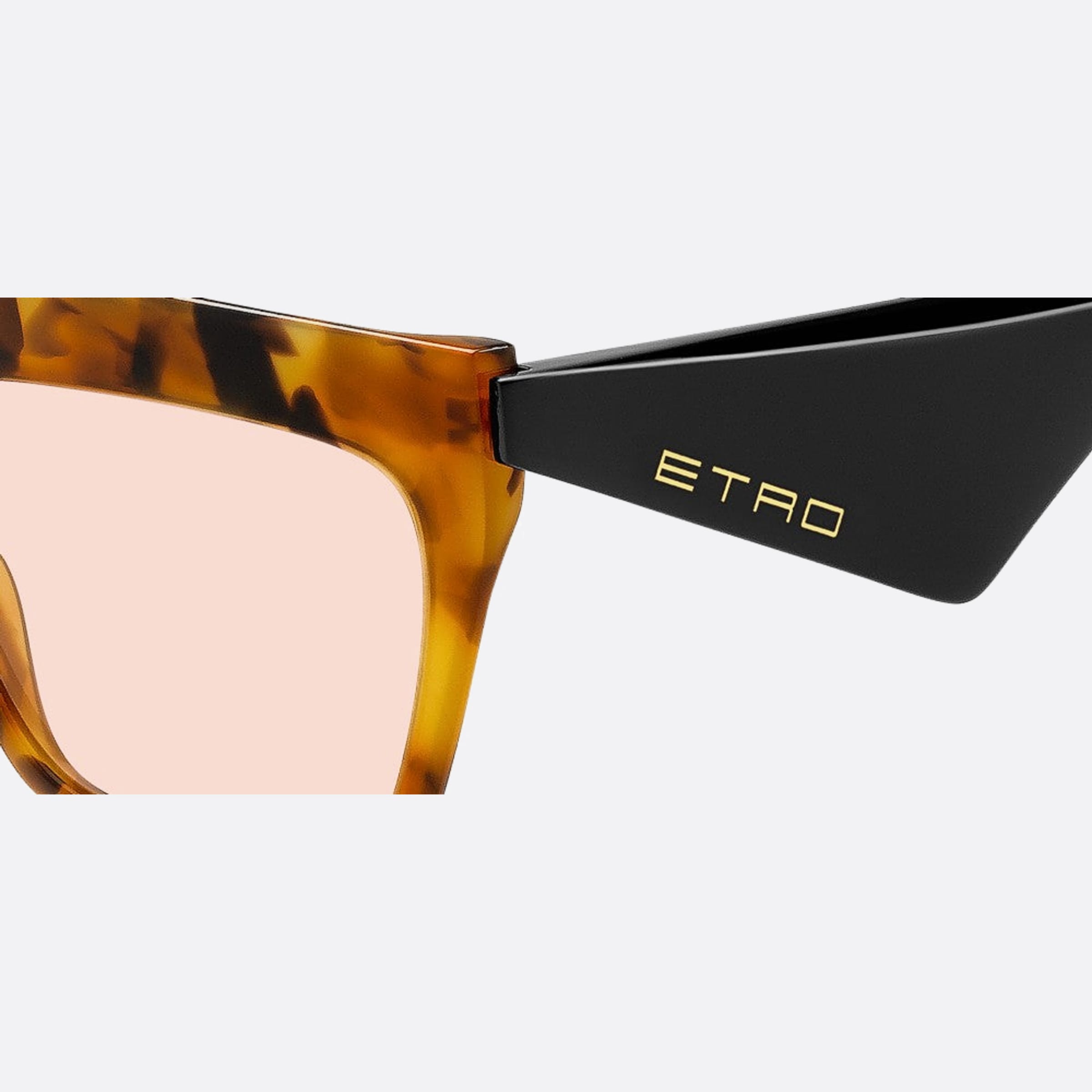 Etro 58mm Etro C9b Havana Oversize Women Sunglasses - Lifestyle Shot