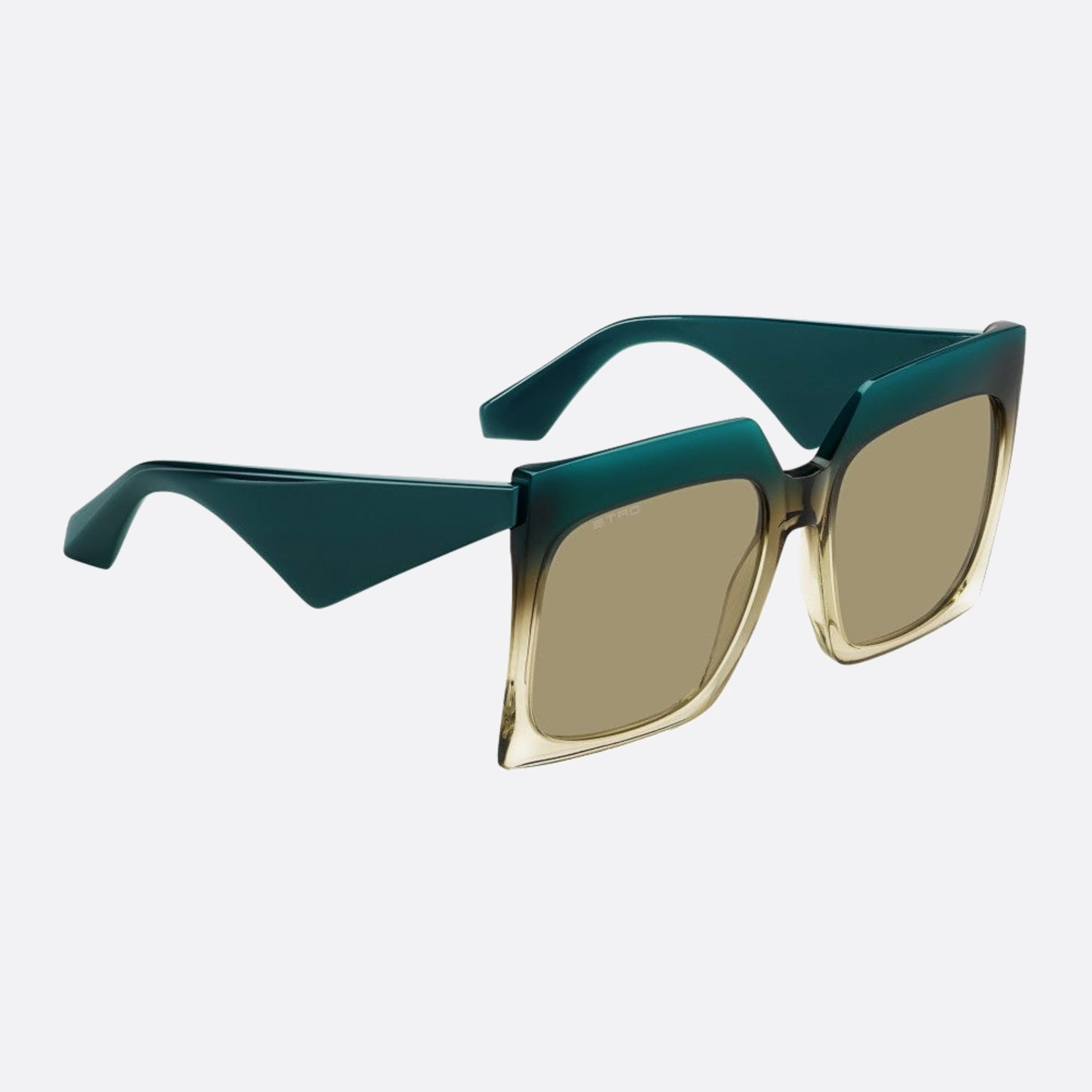 Etro 60mm Etro Gtt Green Oversize Women Sunglasses - Detail View
