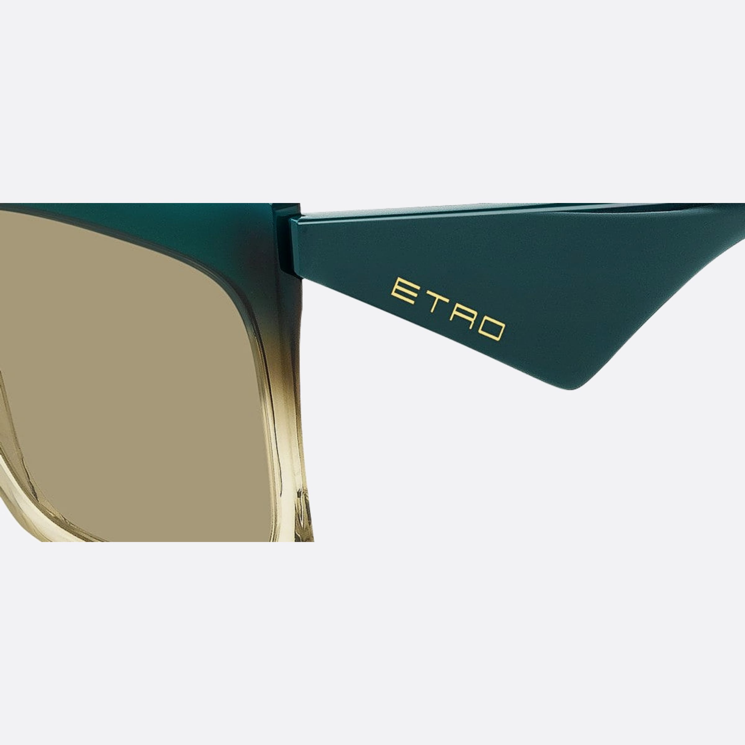 Etro 60mm Etro Gtt Green Oversize Women Sunglasses - Lifestyle Shot