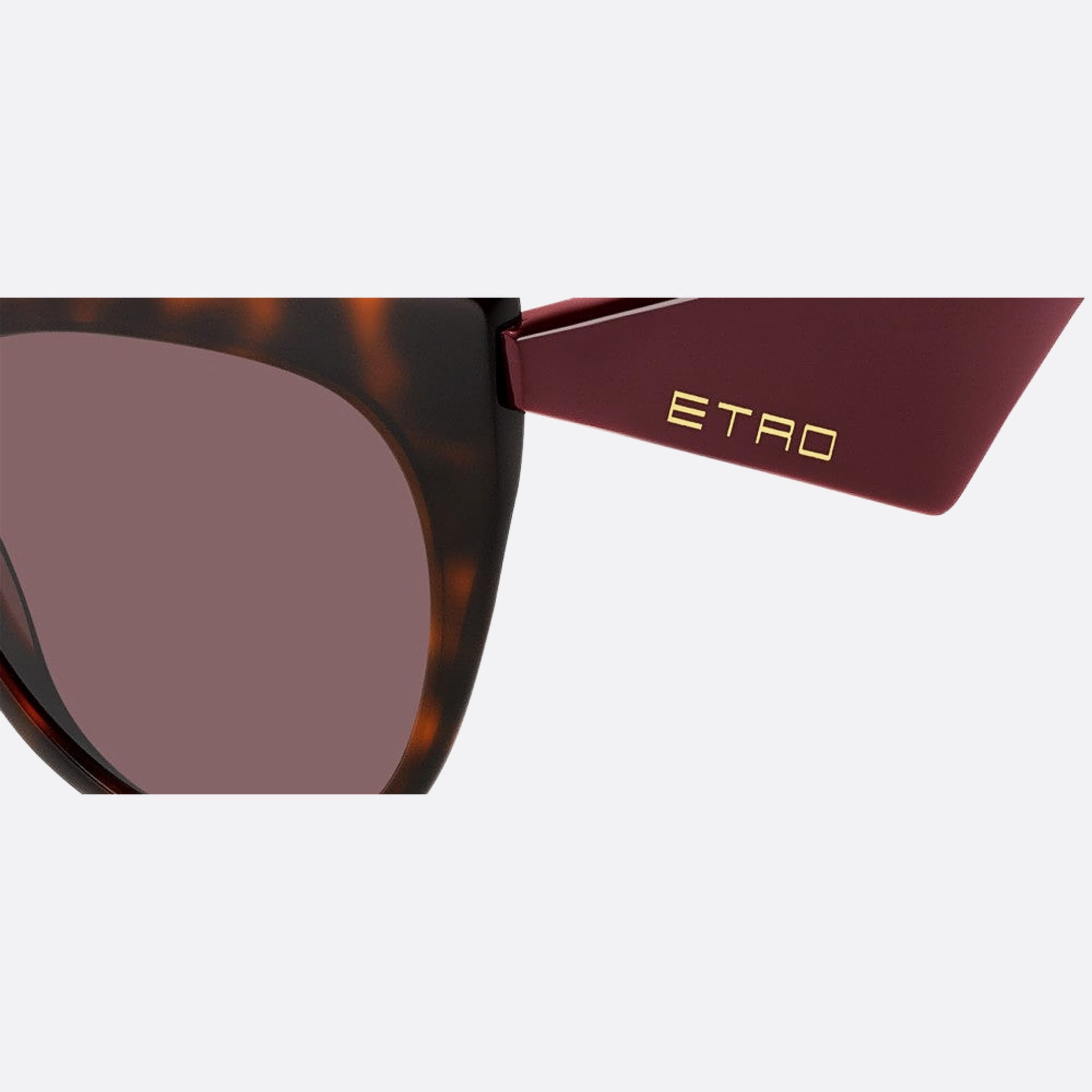 Etro 55mm Etro Havana Cat Eye Women Sunglasses - Lifestyle Shot