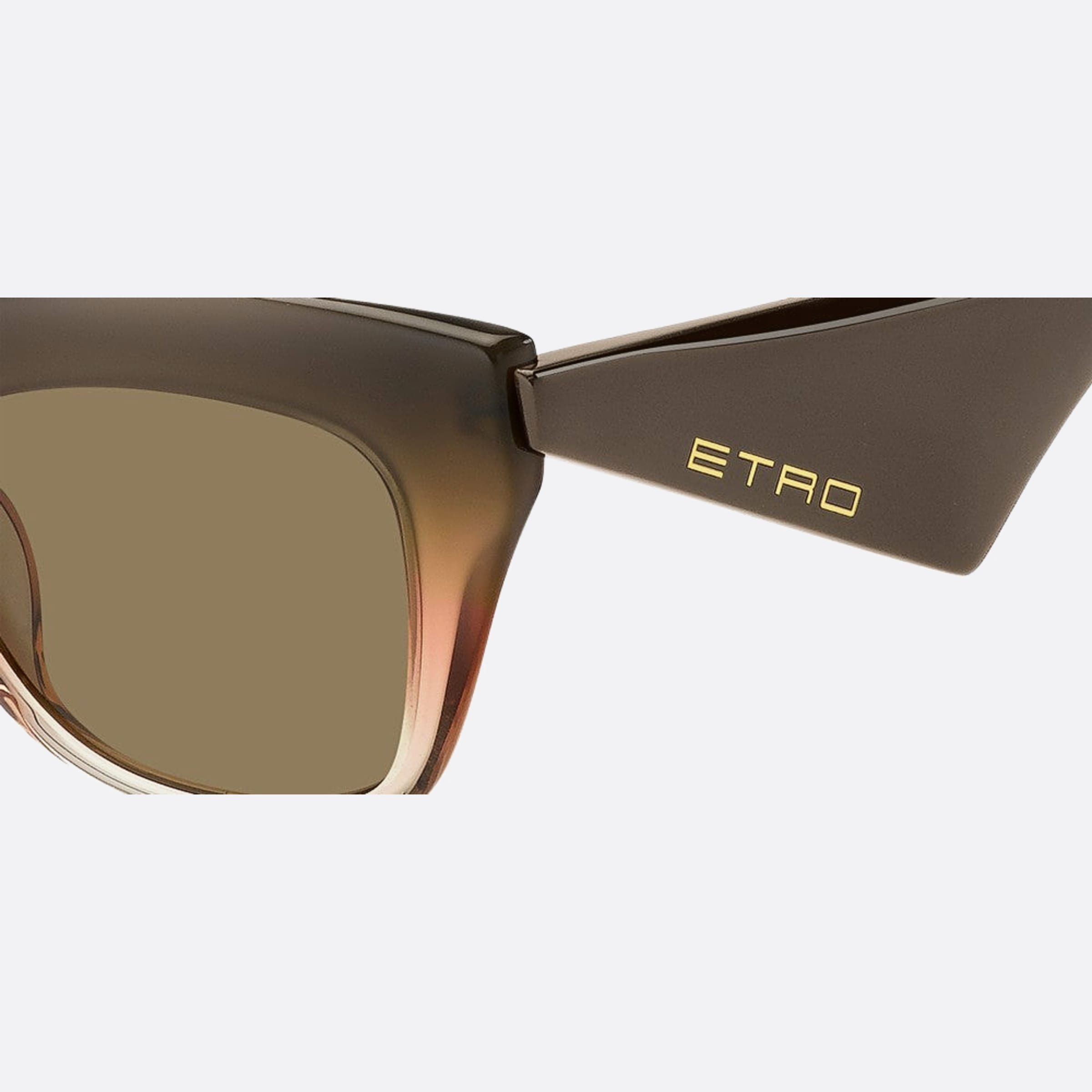 Etro 51mm Etro 12j Brown Butterfly Women Sunglasses - Lifestyle Shot