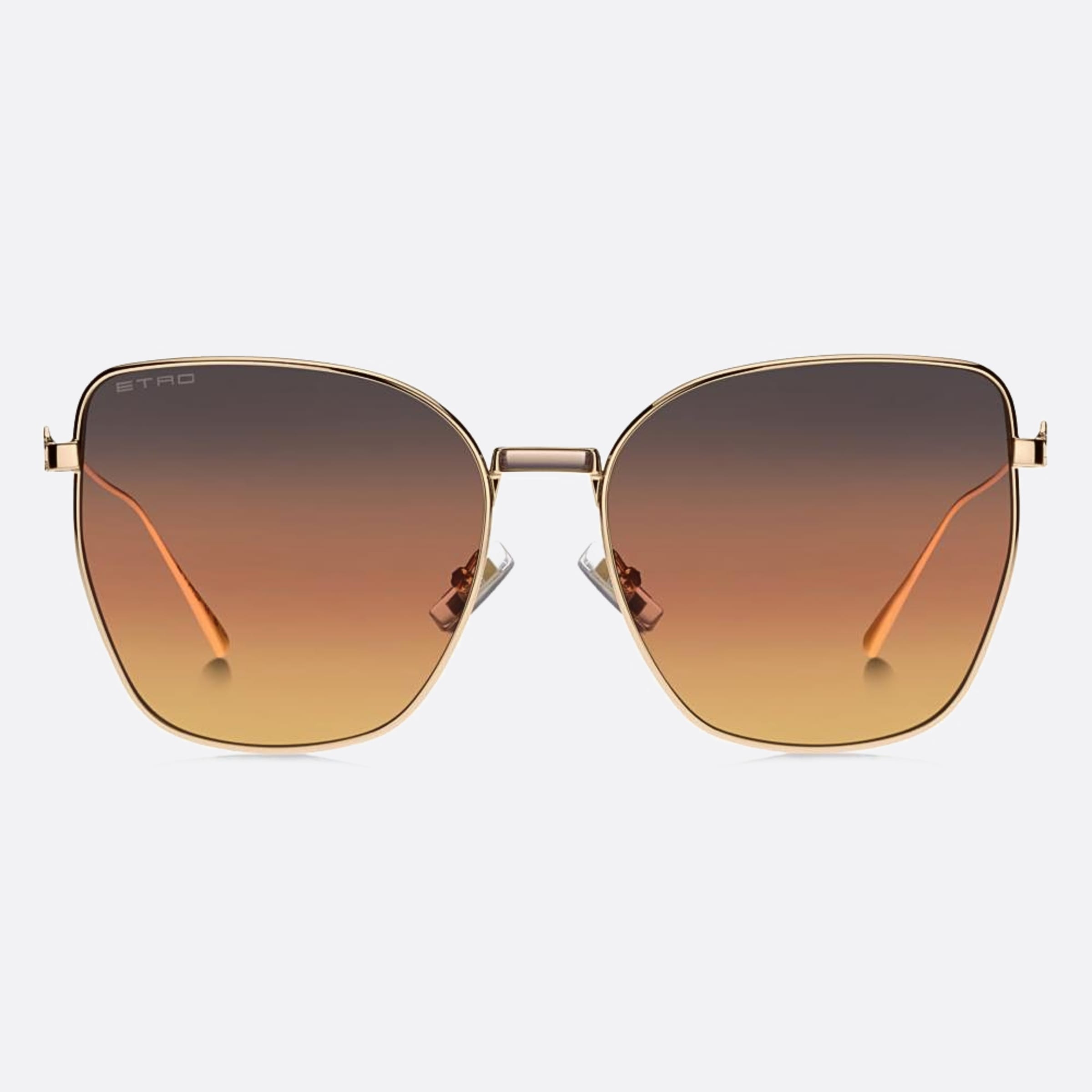 Etro 60mm Etro Rose Gold Butterfly Women Sunglasses - Main View